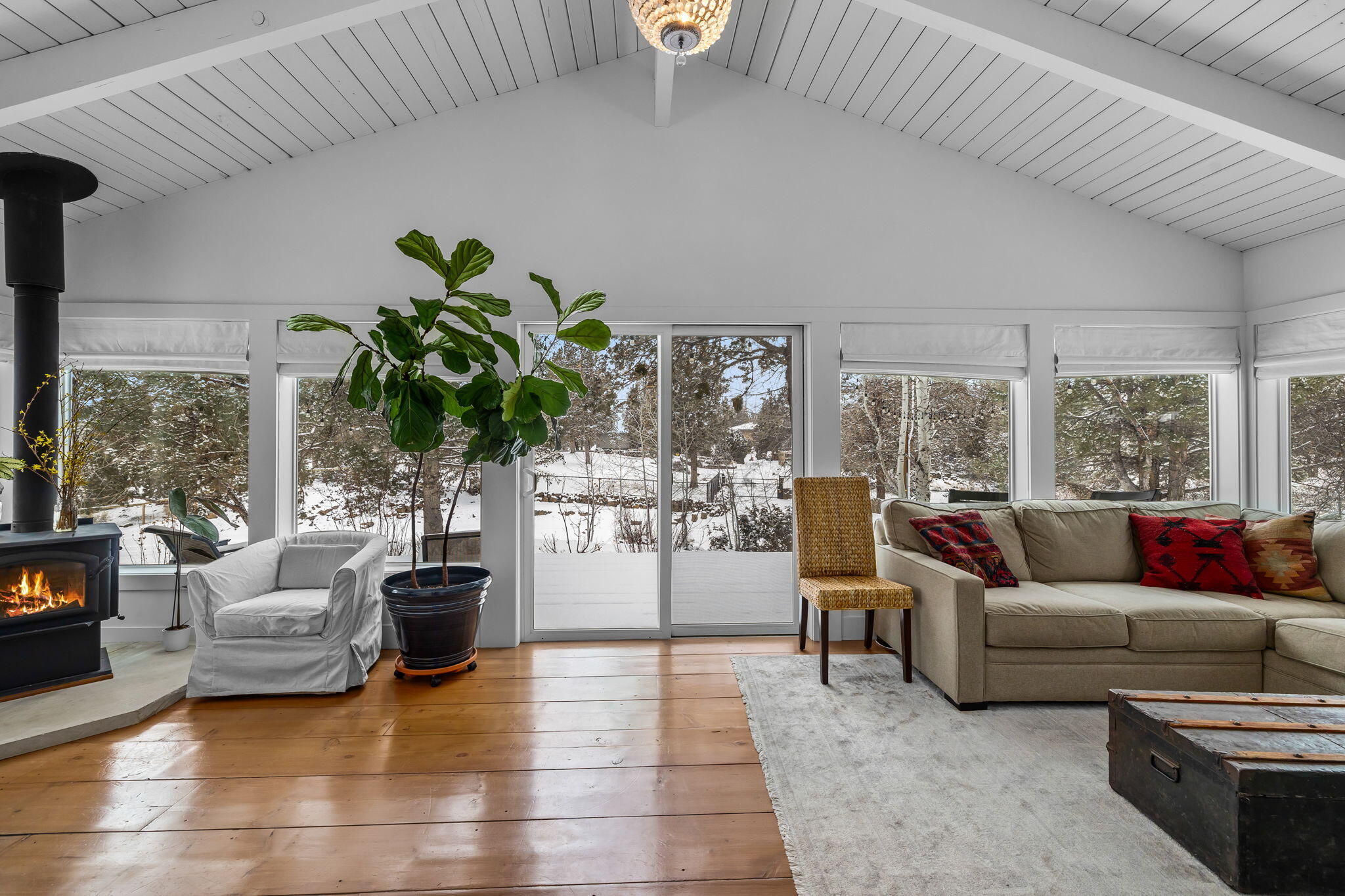 Bee Tree - Residential