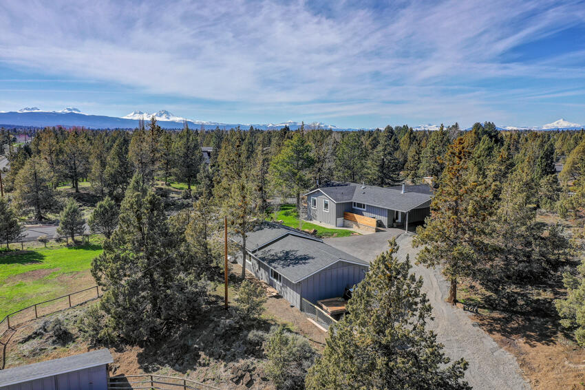 Bee Tree - Residential