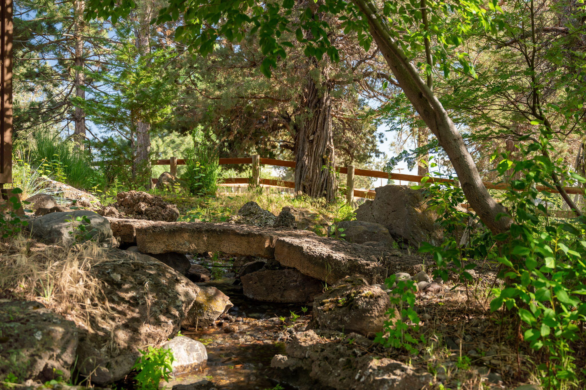 Deschutes River Ranc - Residential