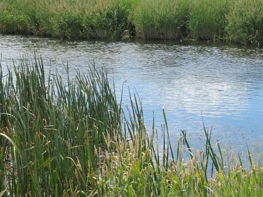 This Is A Great Piece Of River Frontage 13+acres Although The Bottom Portion Is In The Flood Plane There Is An Old Trailer On It Of No Value Needs To Be Removed And A New Home Could Be Placed There. Has A Well And Septic But Does Not Gaurentee It. Last Time They Used It It Did All Work. Power On The Proerty