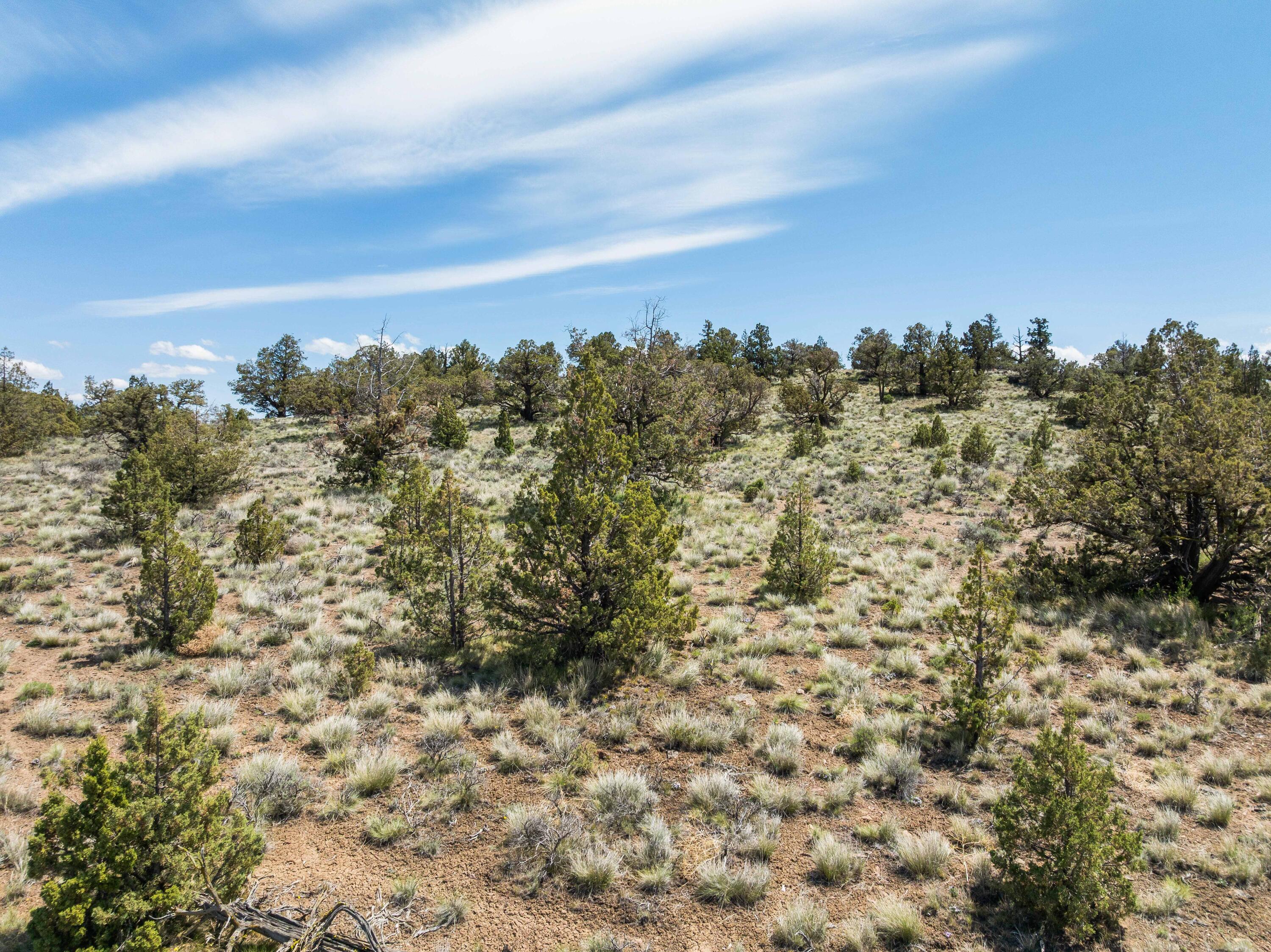 Brasada Ranch - Land