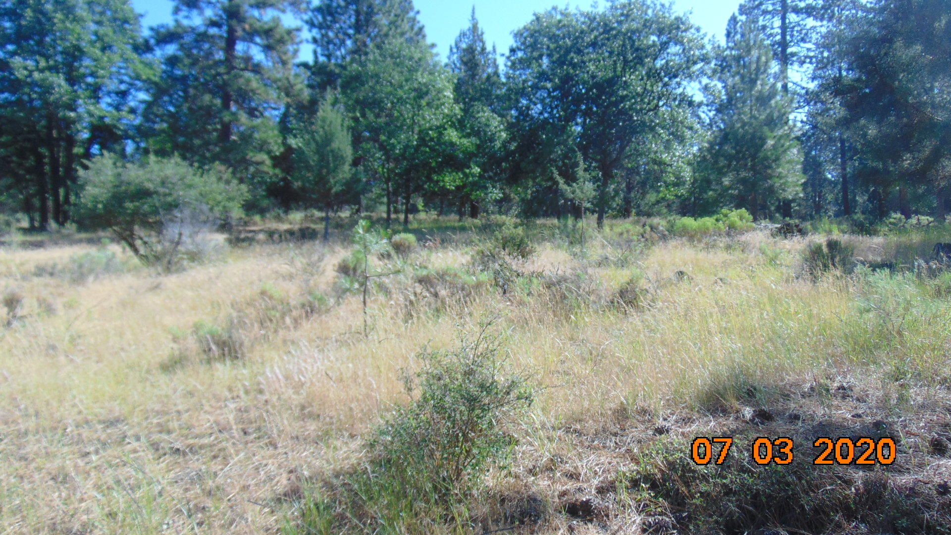 Running YResort - Land