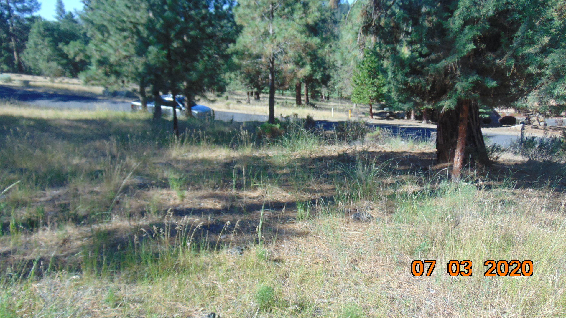 Running YResort - Land