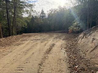 Merlin Townsite - Land