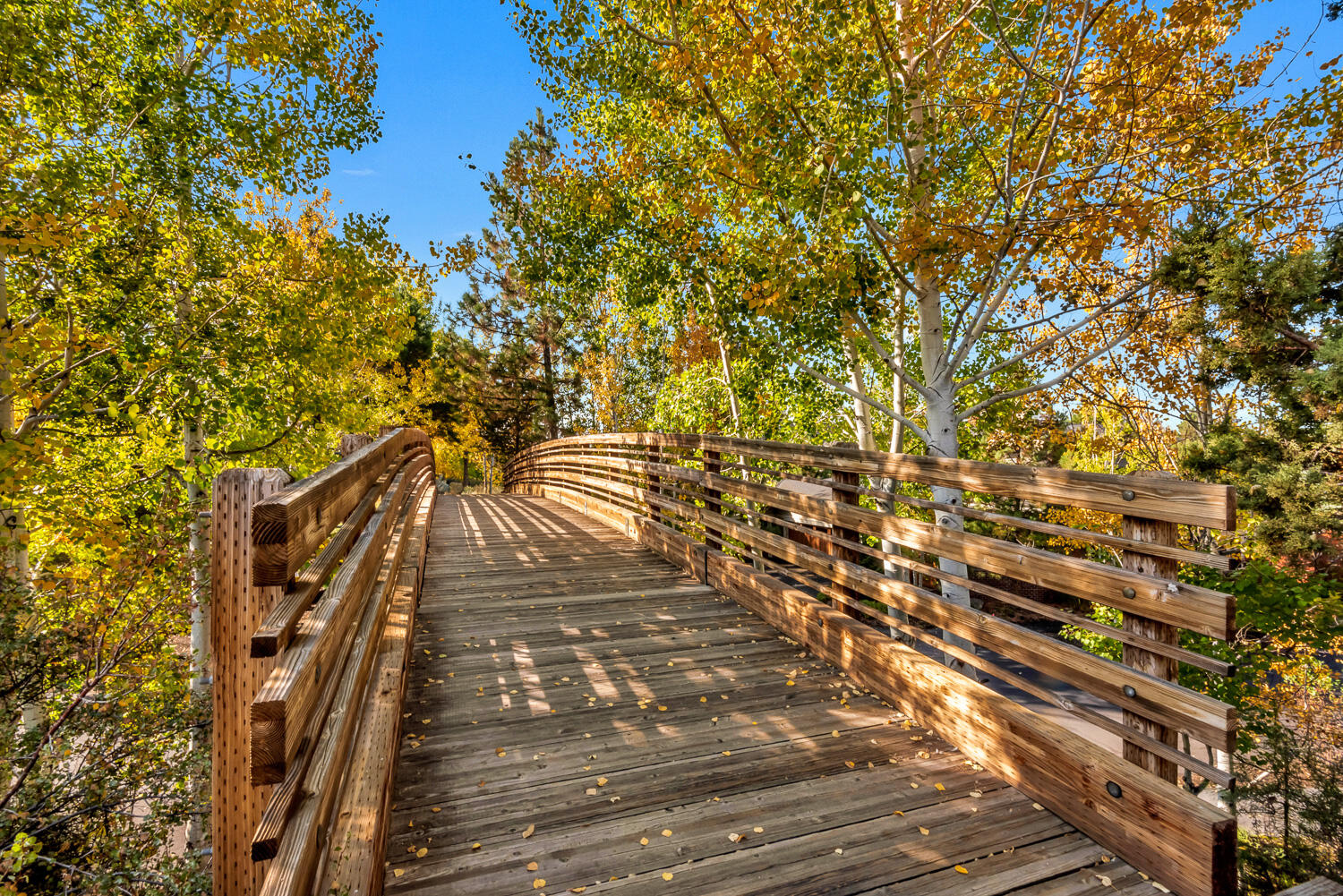 Three Pines - Residential