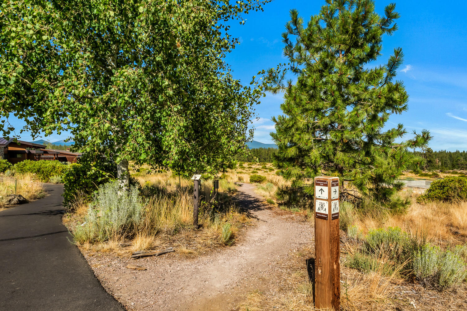 Three Pines - Residential