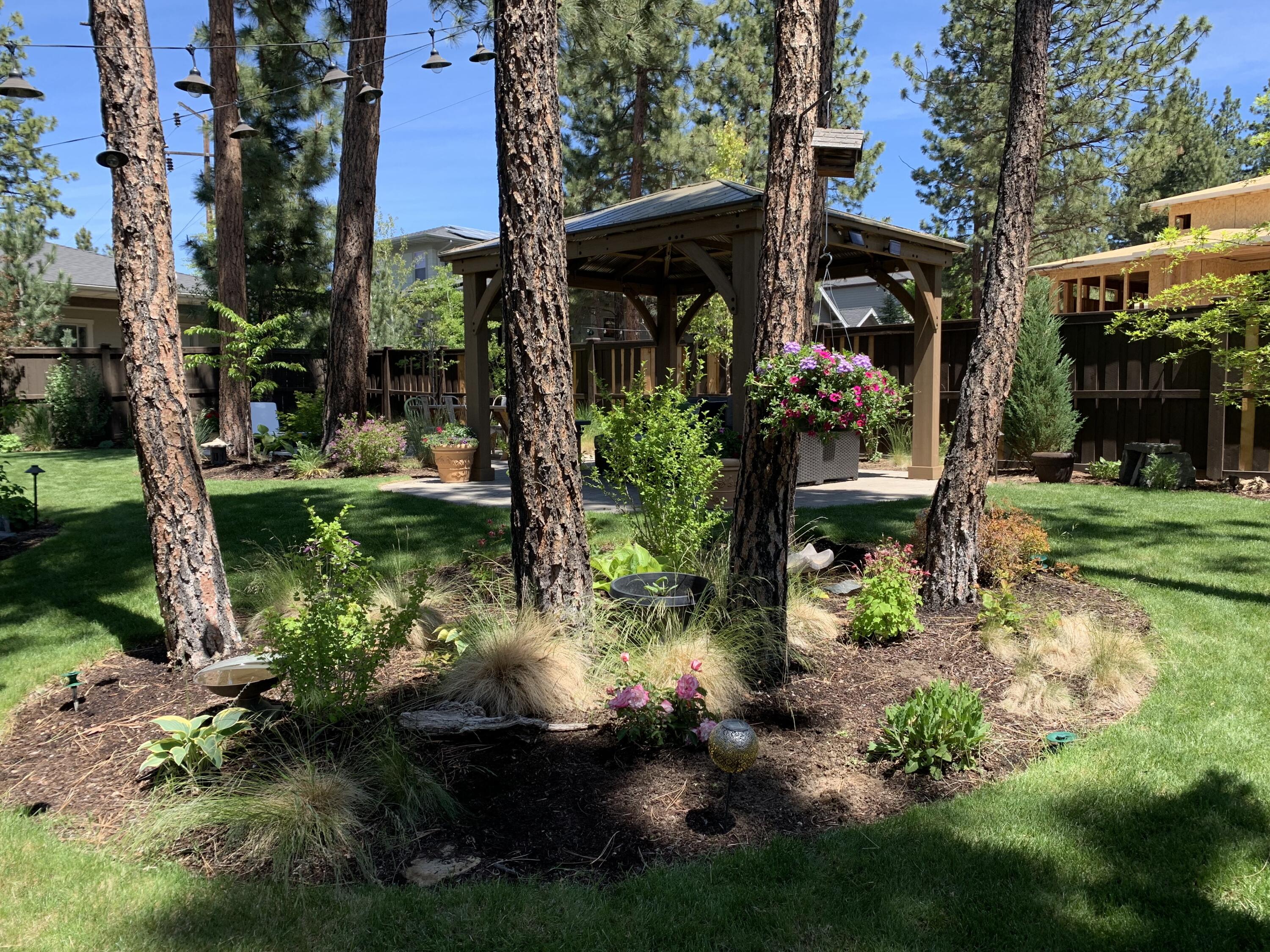 Shevlin Bluffs - Residential