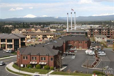 Upper Terrace - Commercial Sale