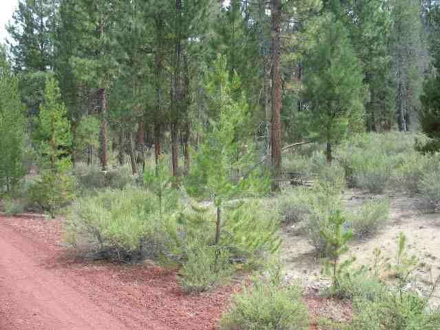 Nice Treed 1 Acre Lot. Mfg Home O.K. Seller Selling Property as-is. Any Potential Buyers Need To Receive A Copy Of Ccr's On The Sprague River Pines Developement. Any Questions Regarding The Future Developement Of The Property Should Be Taken To The County Planning Department For Relevant Answers.