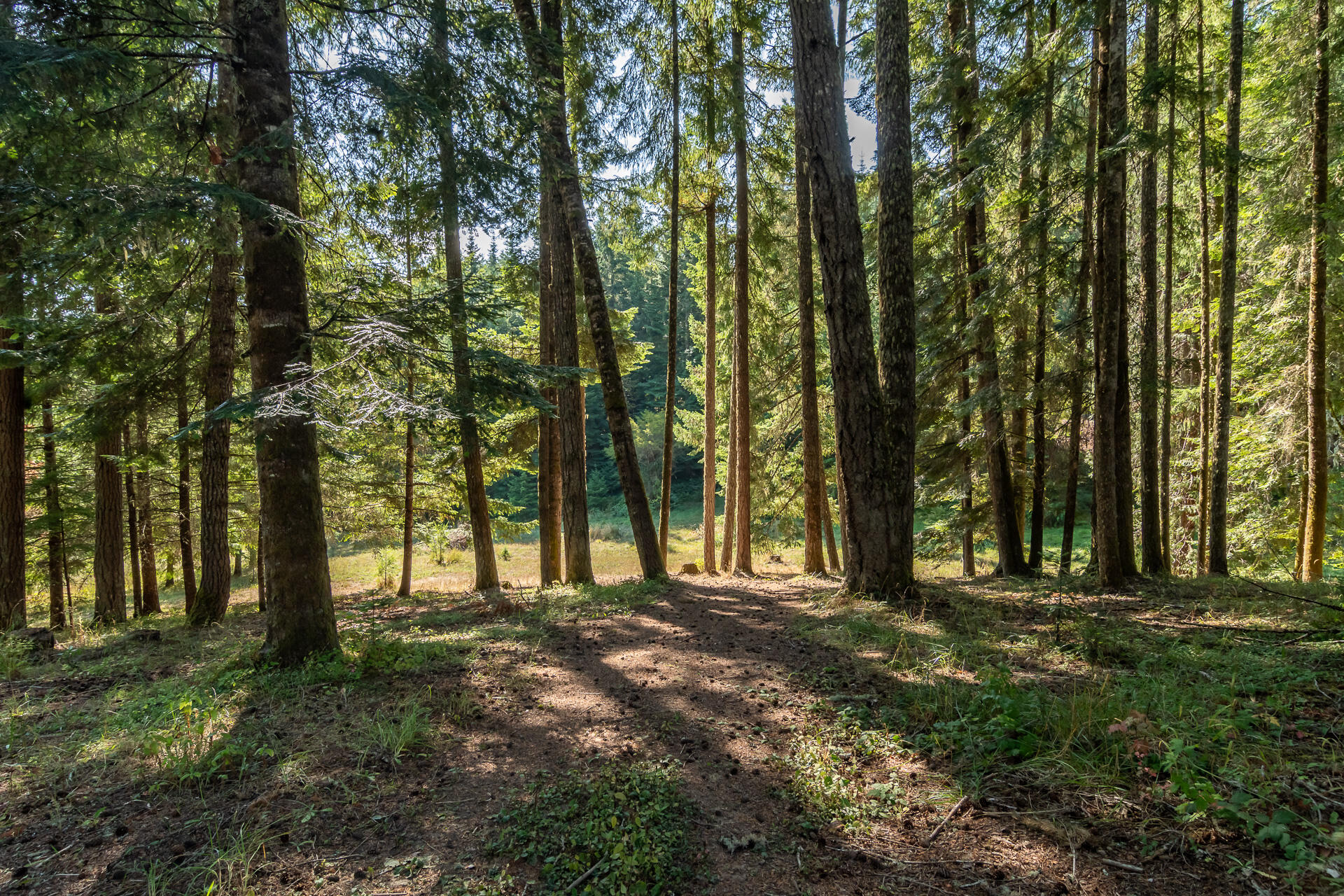 Drain's Addition To Drain - Residential