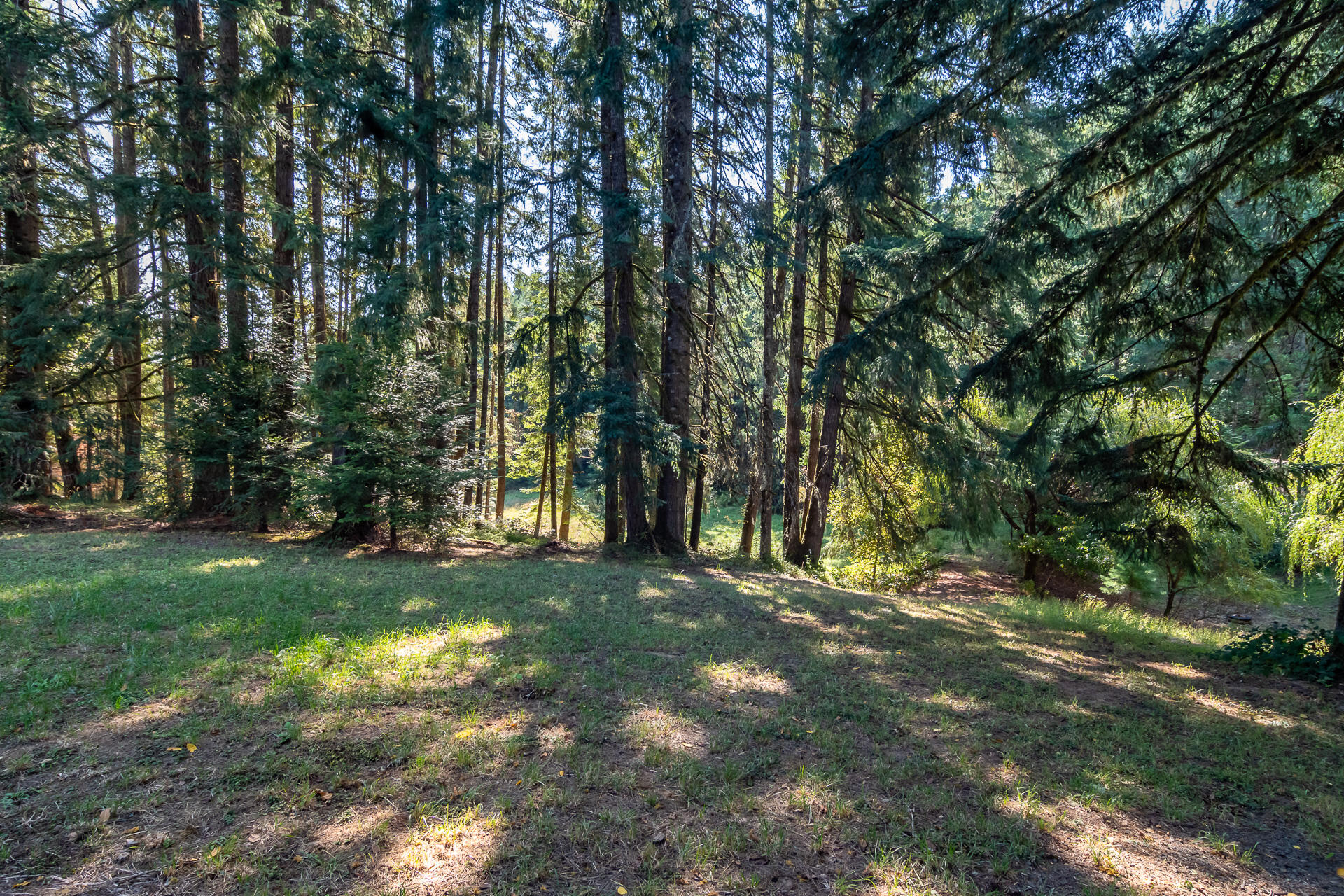 Drain's Addition To Drain - Residential