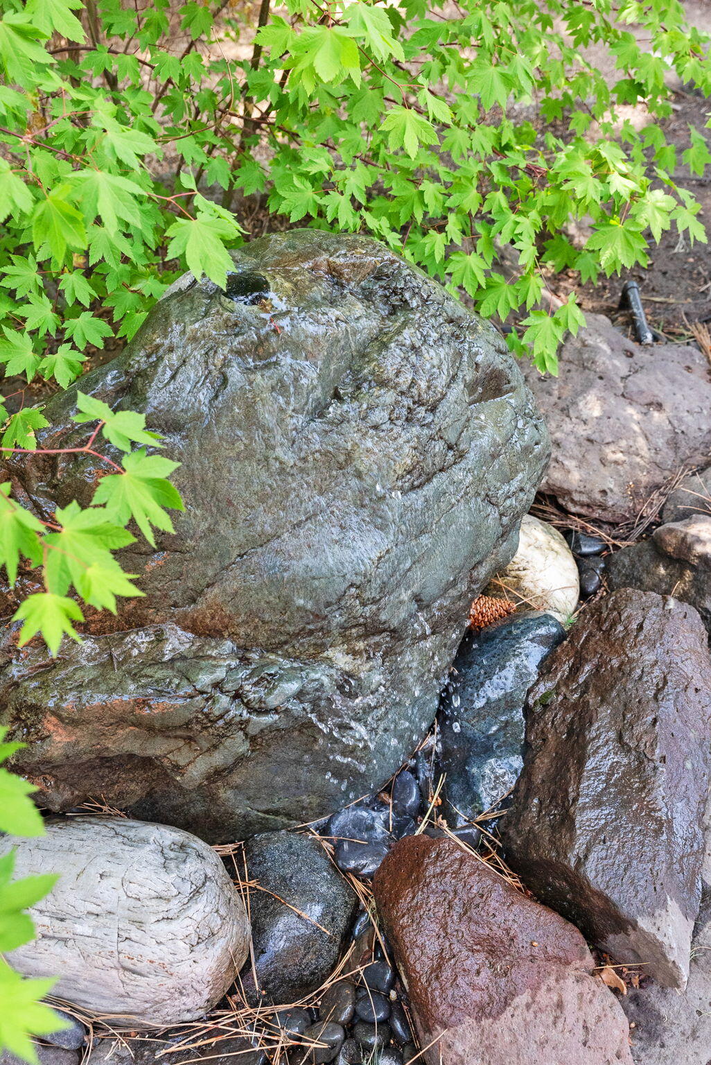 Boulevard - Residential