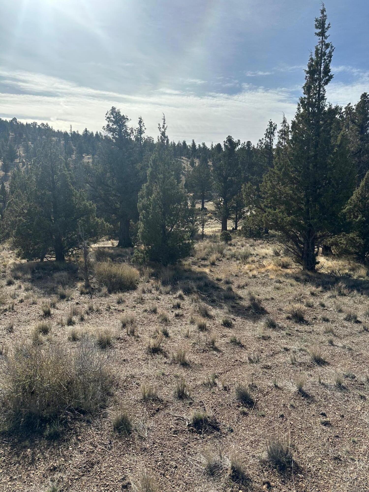 Juniper Hills - Land