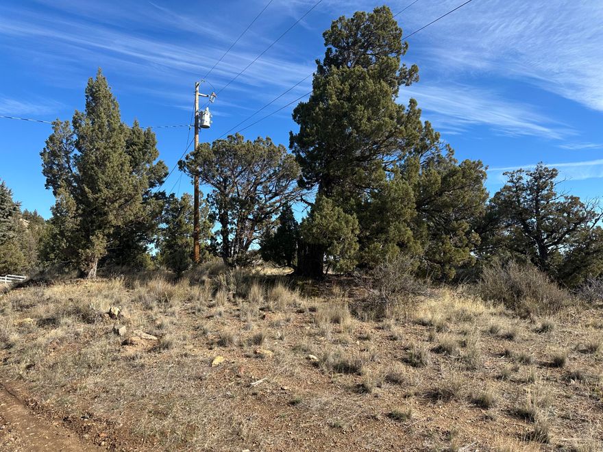 Looking for a private spot to build your dream home or just escape from the city? Here it is! Just over half an acre of buildable land in the privacy of Juniper Hills. Just minutes from Prineville Reservoir and a short drive to town makes this a perfect blank canvas. Power is close by. Lot #2 can be purchased as well for a combined price of $60,000.