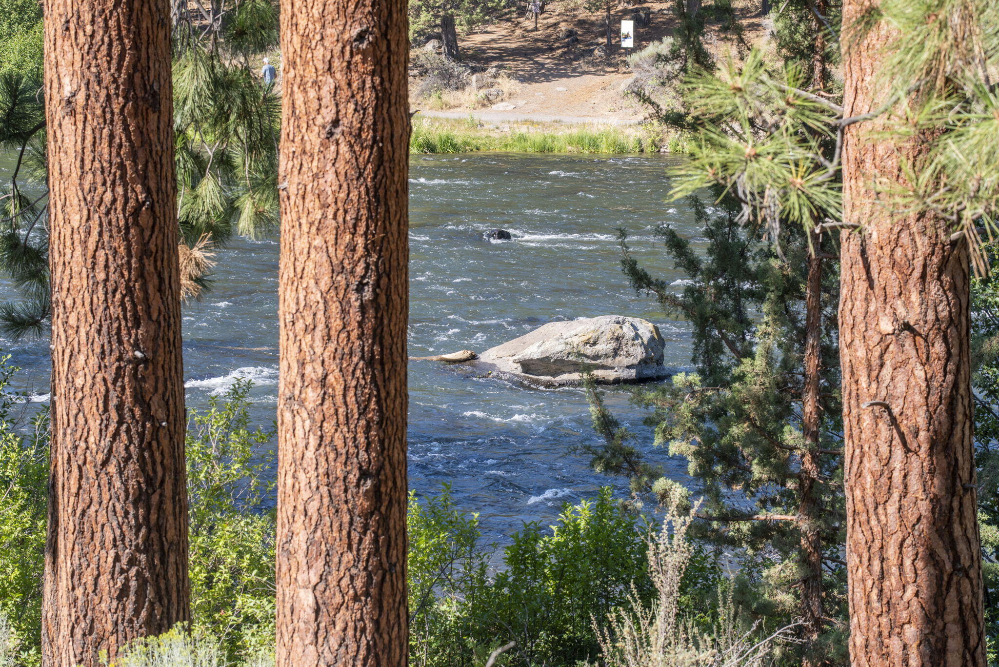 Woodriver Village - Residential