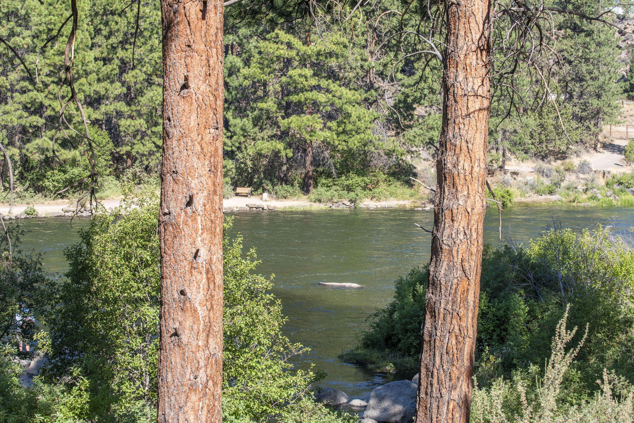 Woodriver Village - Residential