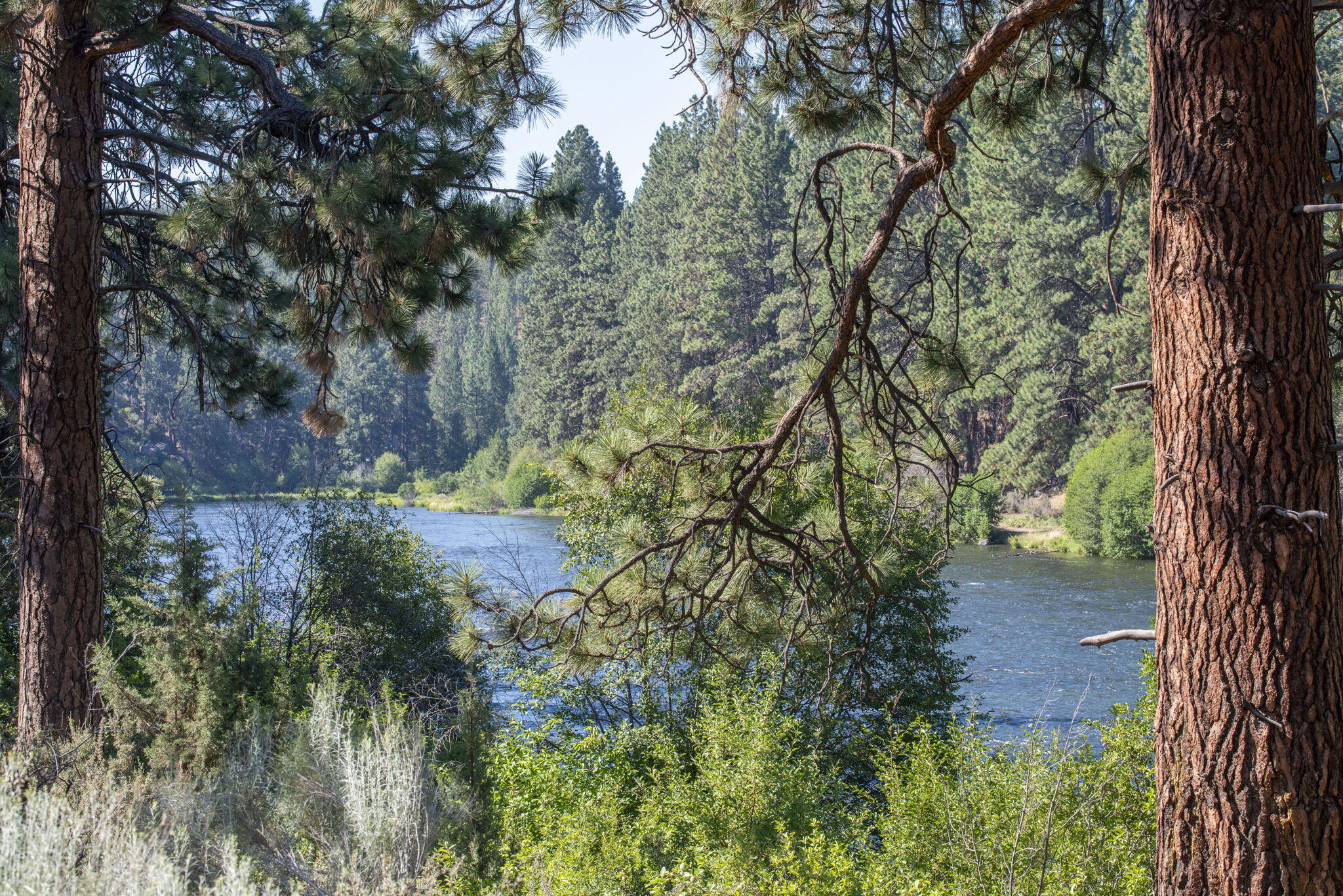 Woodriver Village - Residential