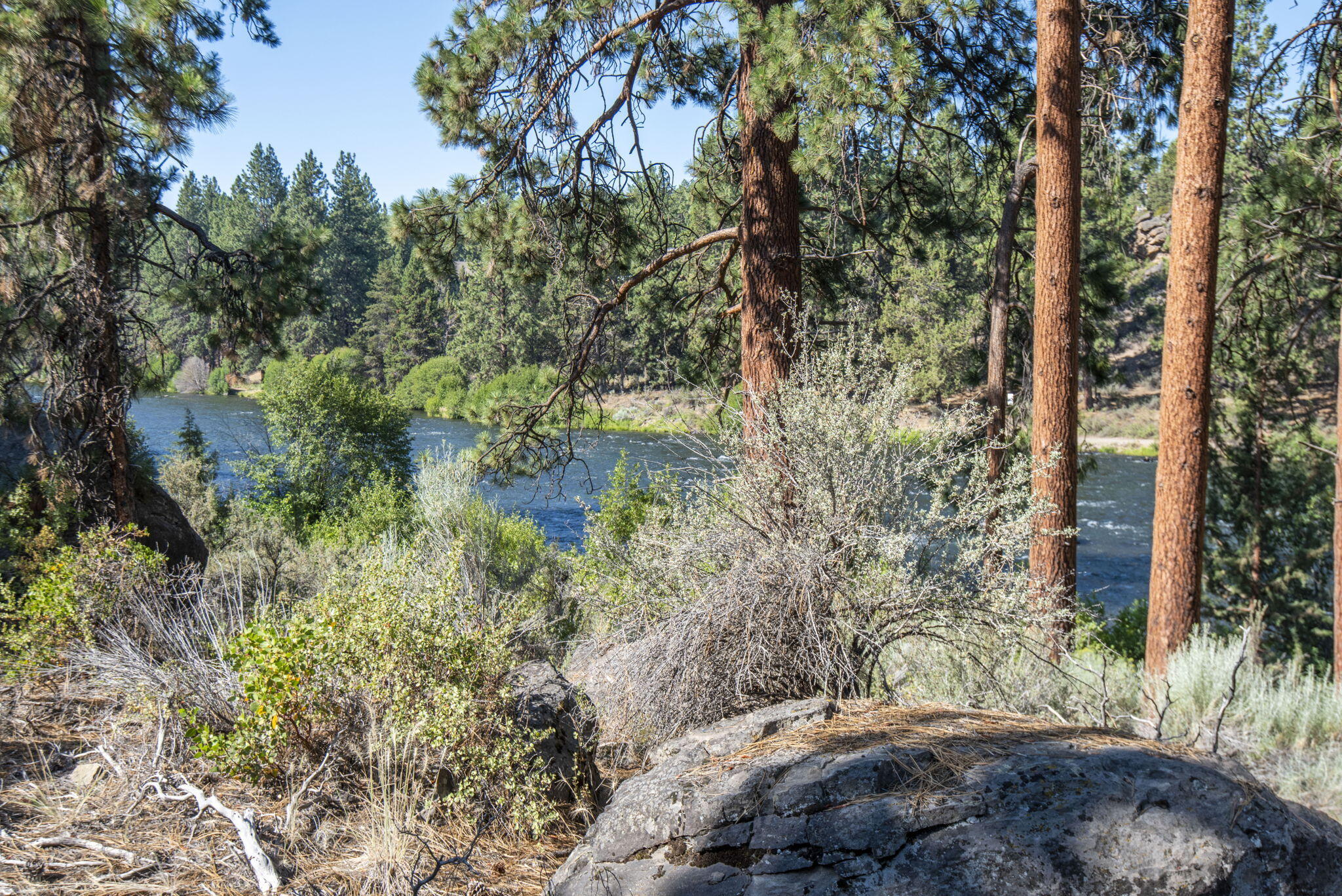 Woodriver Village - Residential