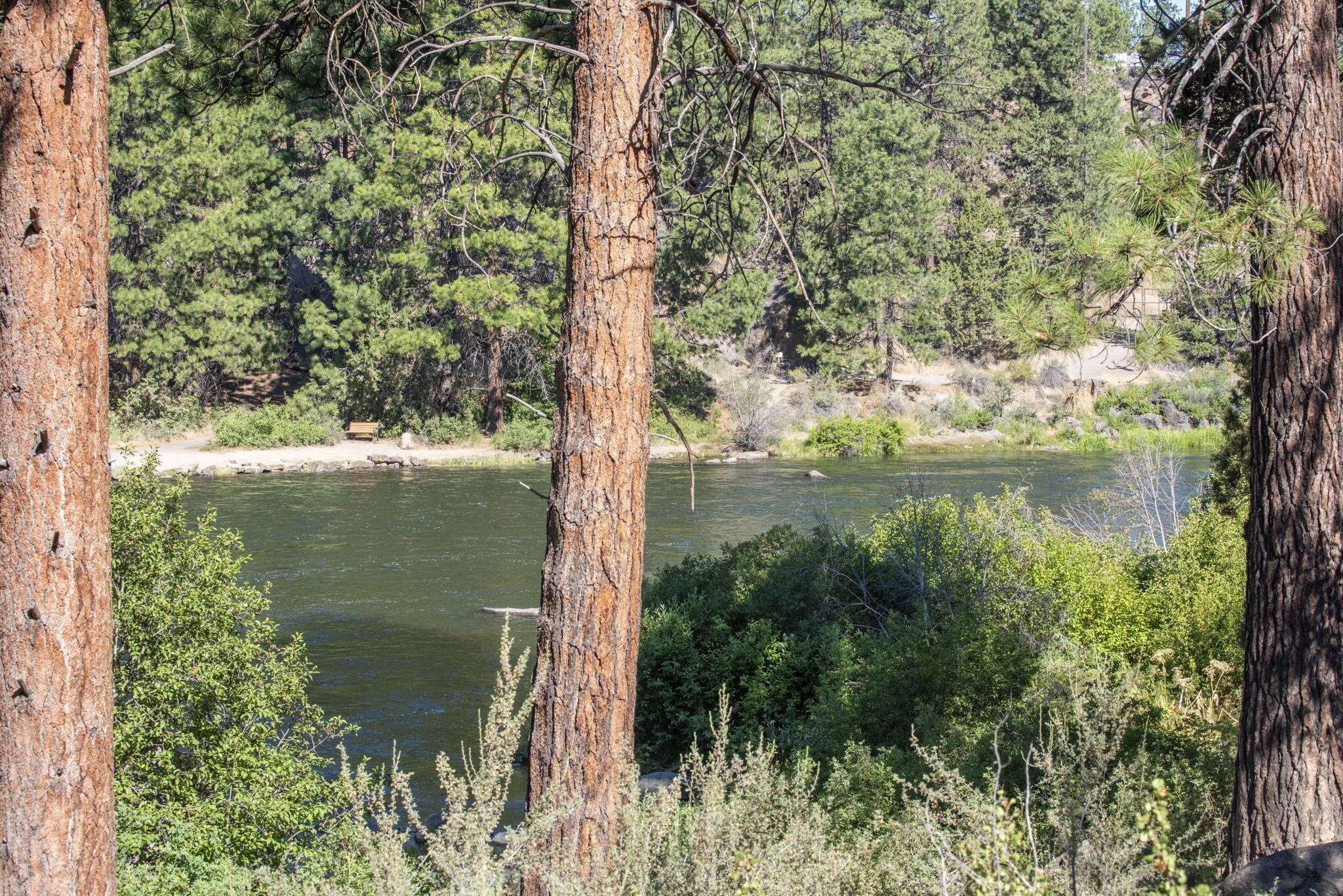 Woodriver Village - Residential