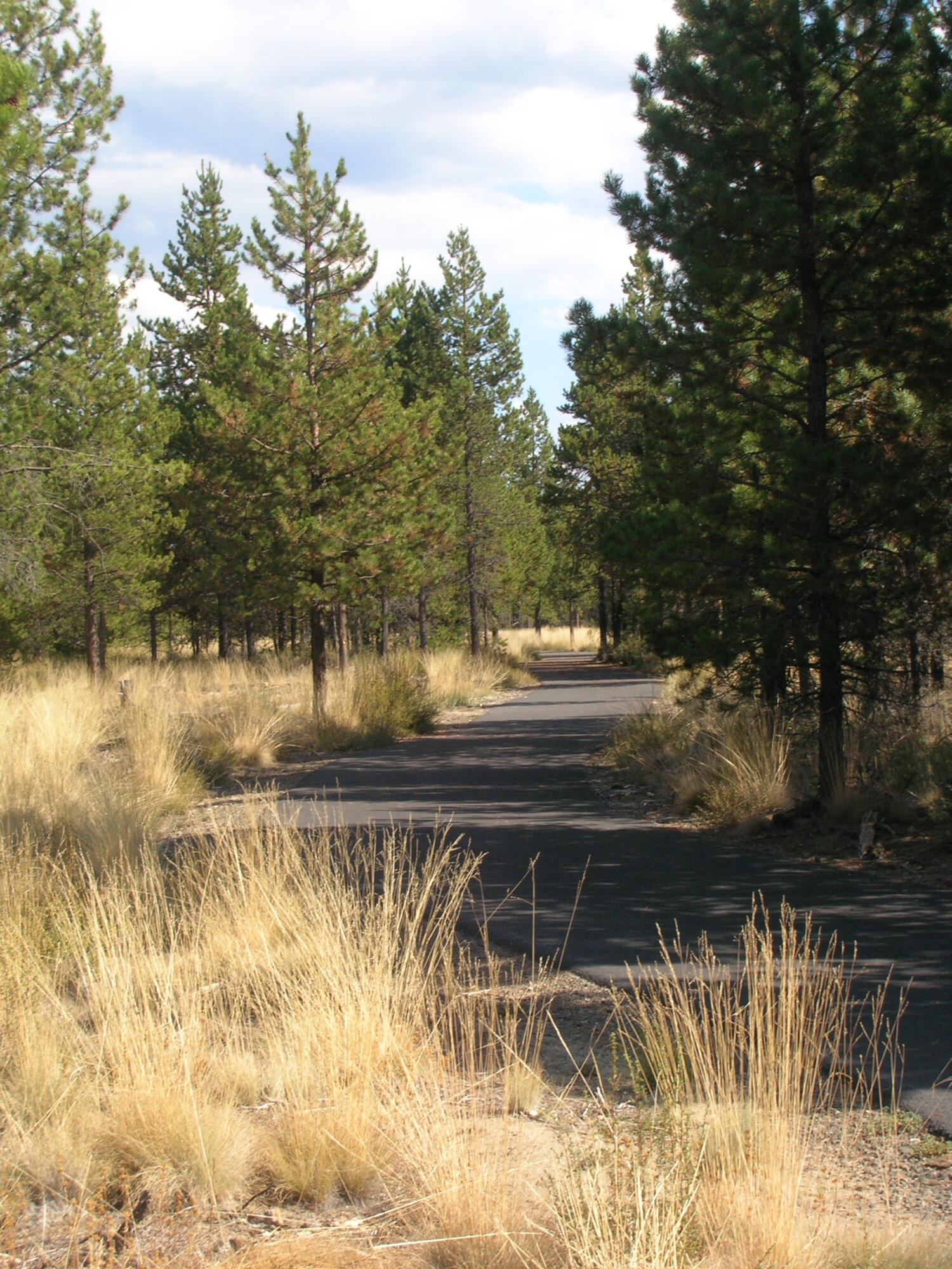 Crescent Creek - Residential