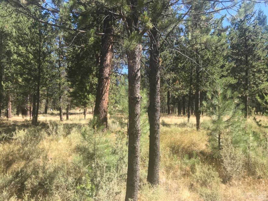 .53 Bare Acre Lot Close to the Deschutes River. Great Location for Outdoor Recreation. Electric RV Hookup. Corner Lot. Adjoining Lot on Gray Squirrel also available.