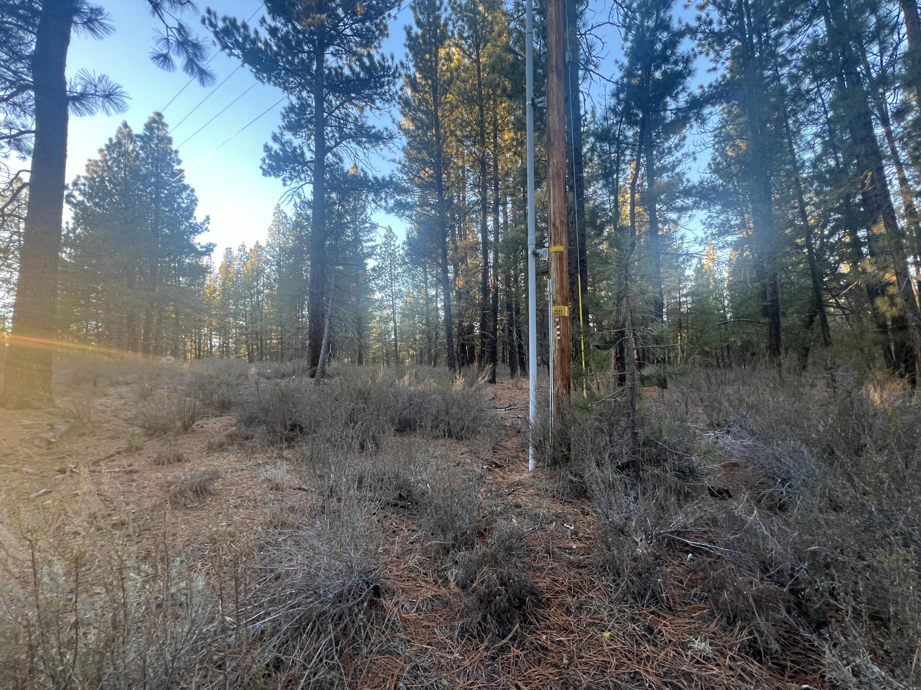 Woodland Park - Land