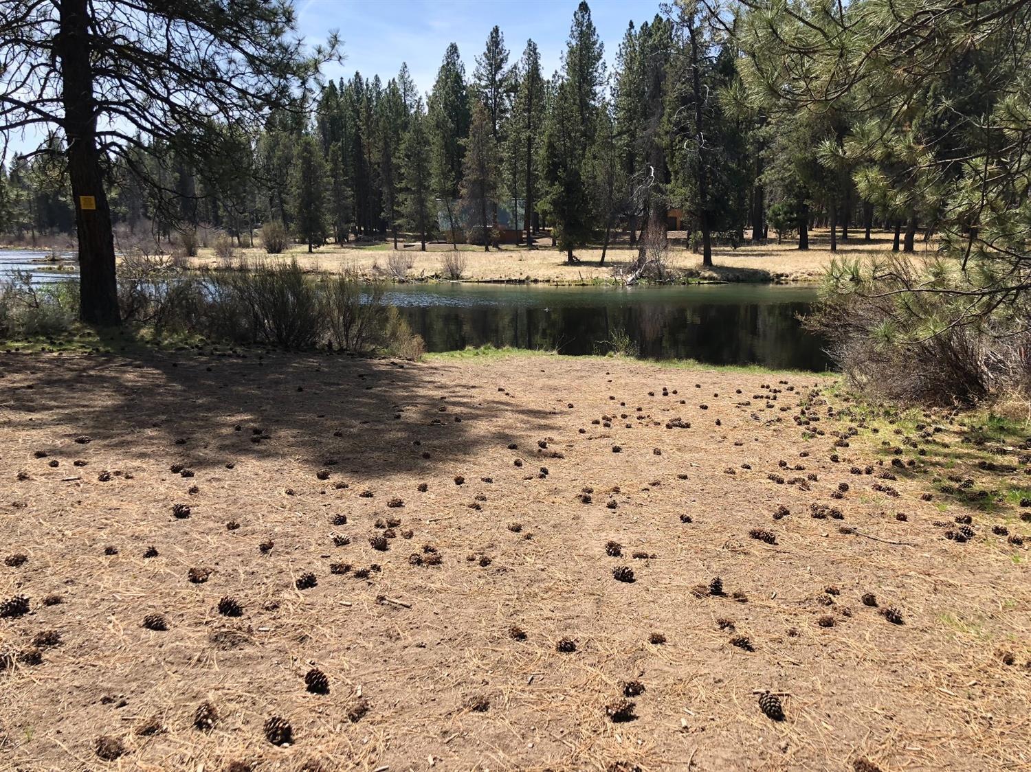 Woodland Park - Land