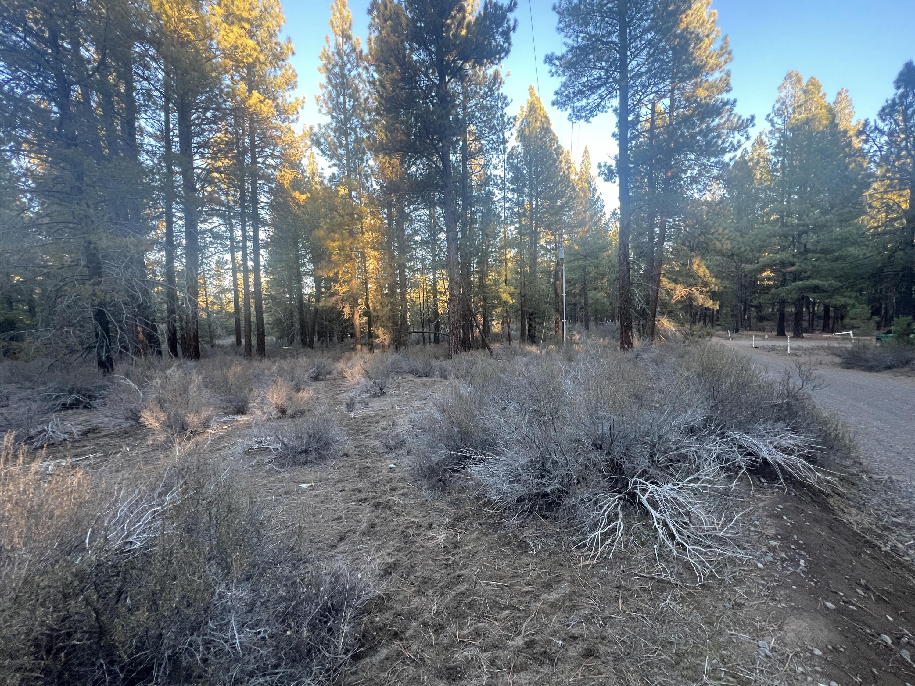 Woodland Park - Land