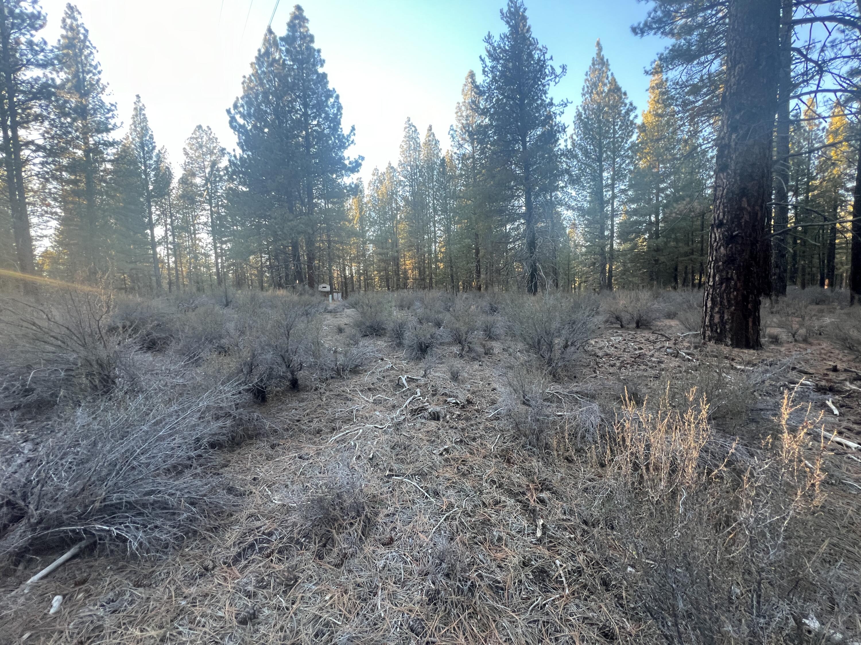 Woodland Park - Land