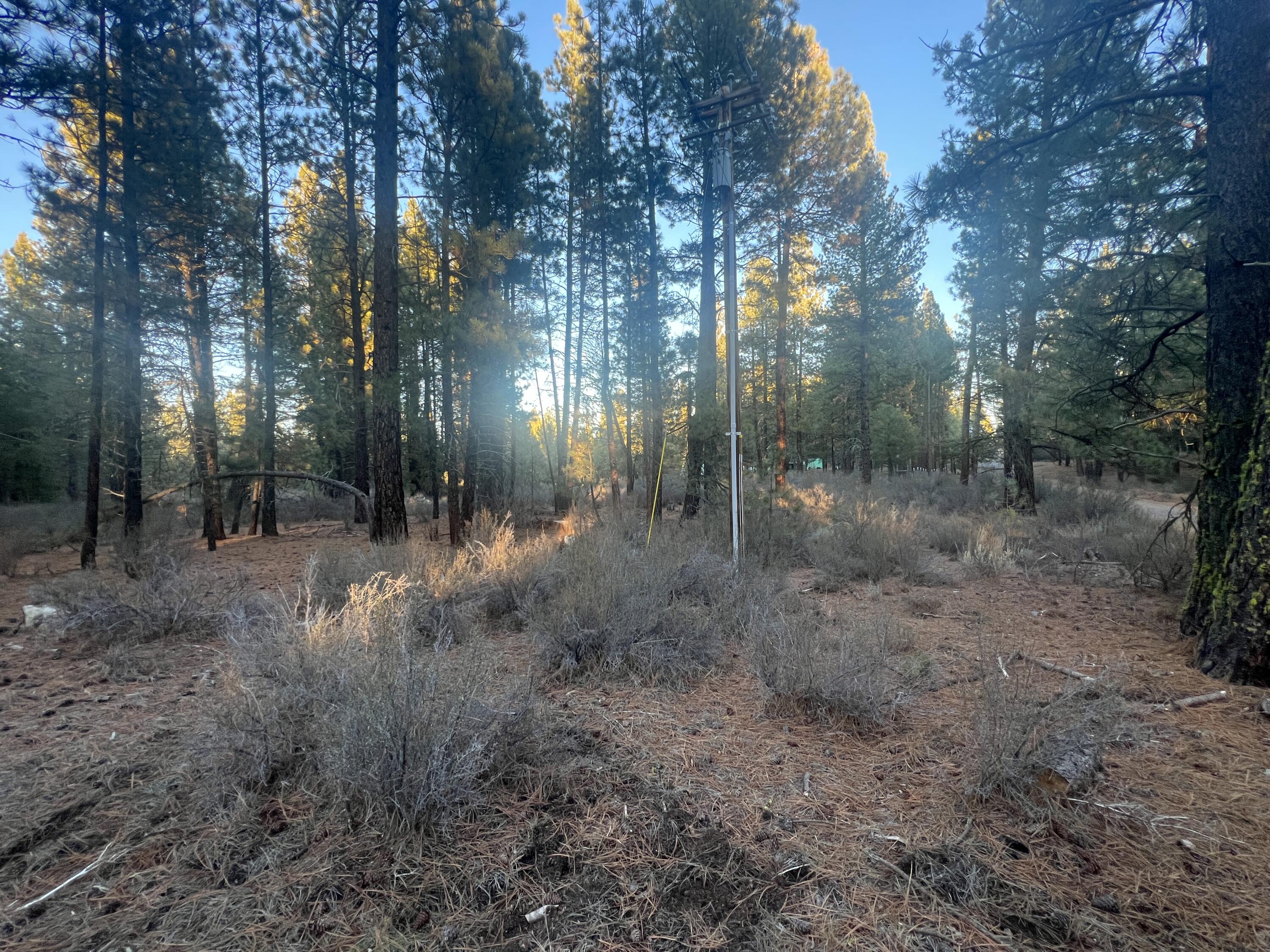 Woodland Park - Land