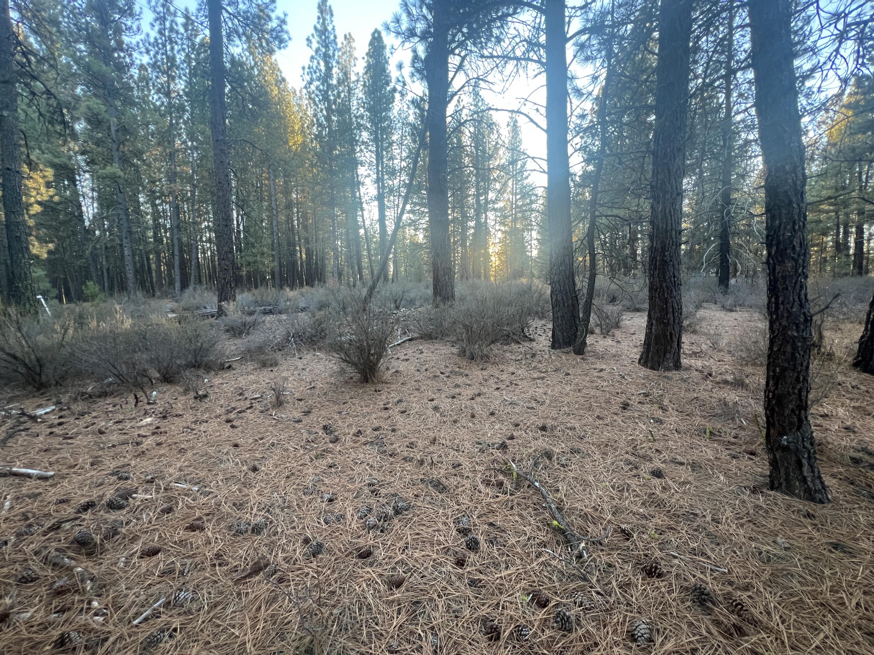 Woodland Park - Land