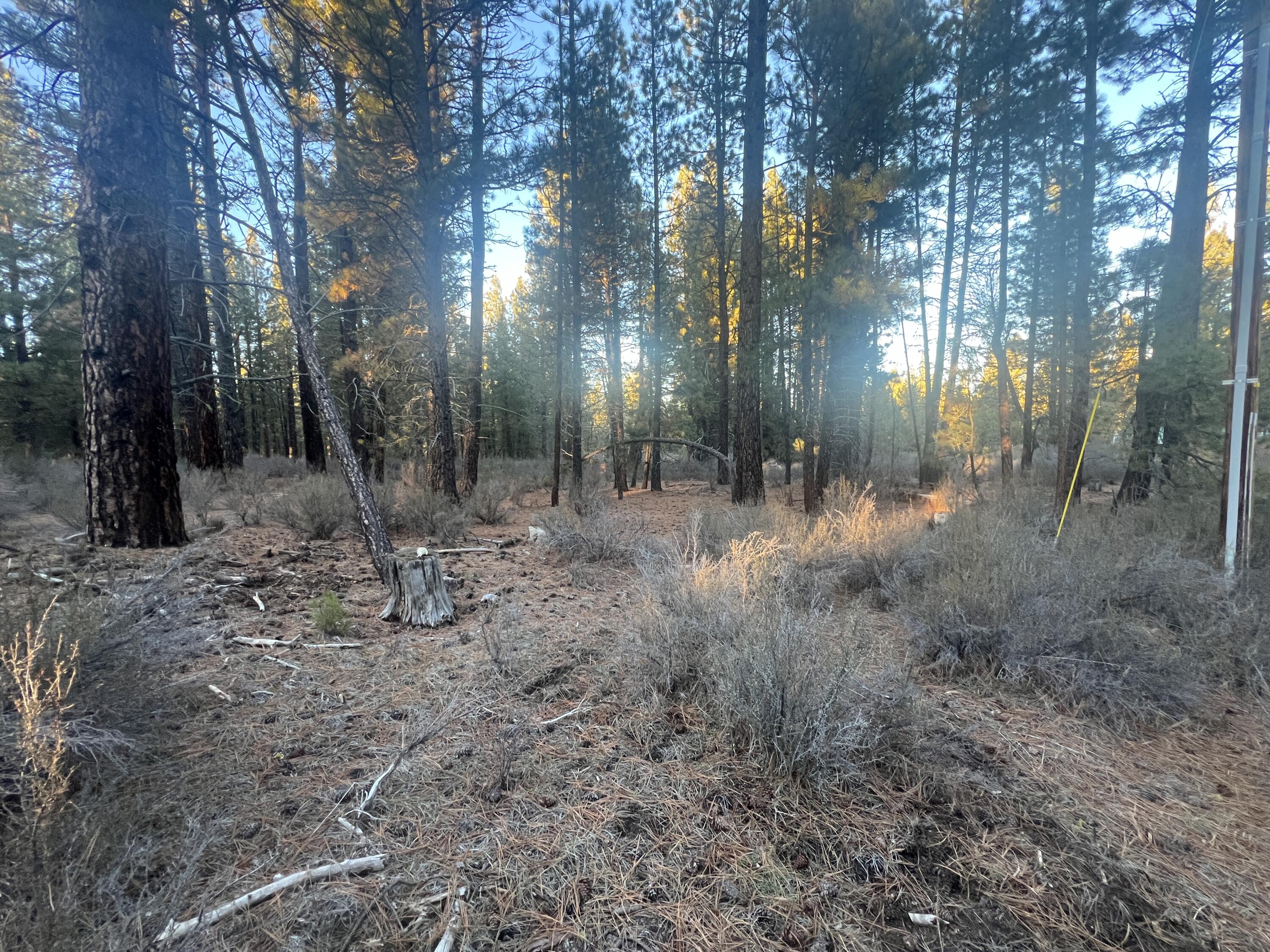 Woodland Park - Land