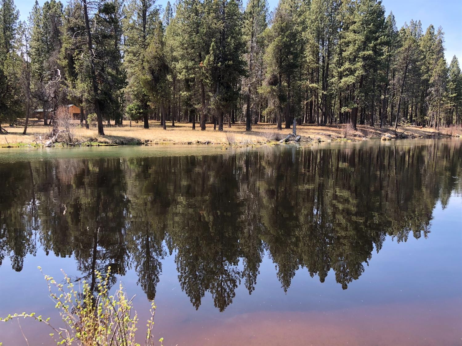 Woodland Park - Land