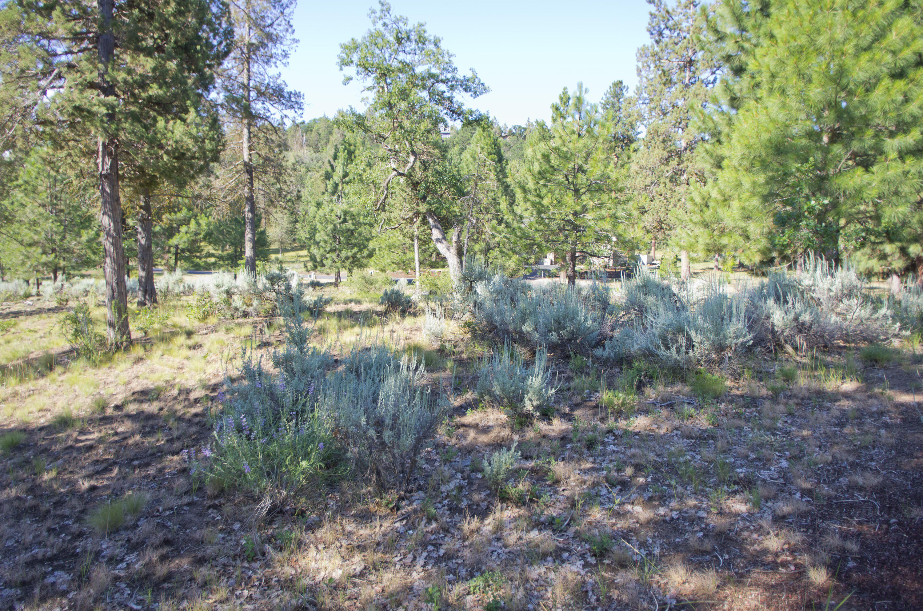 Running YResort - Land