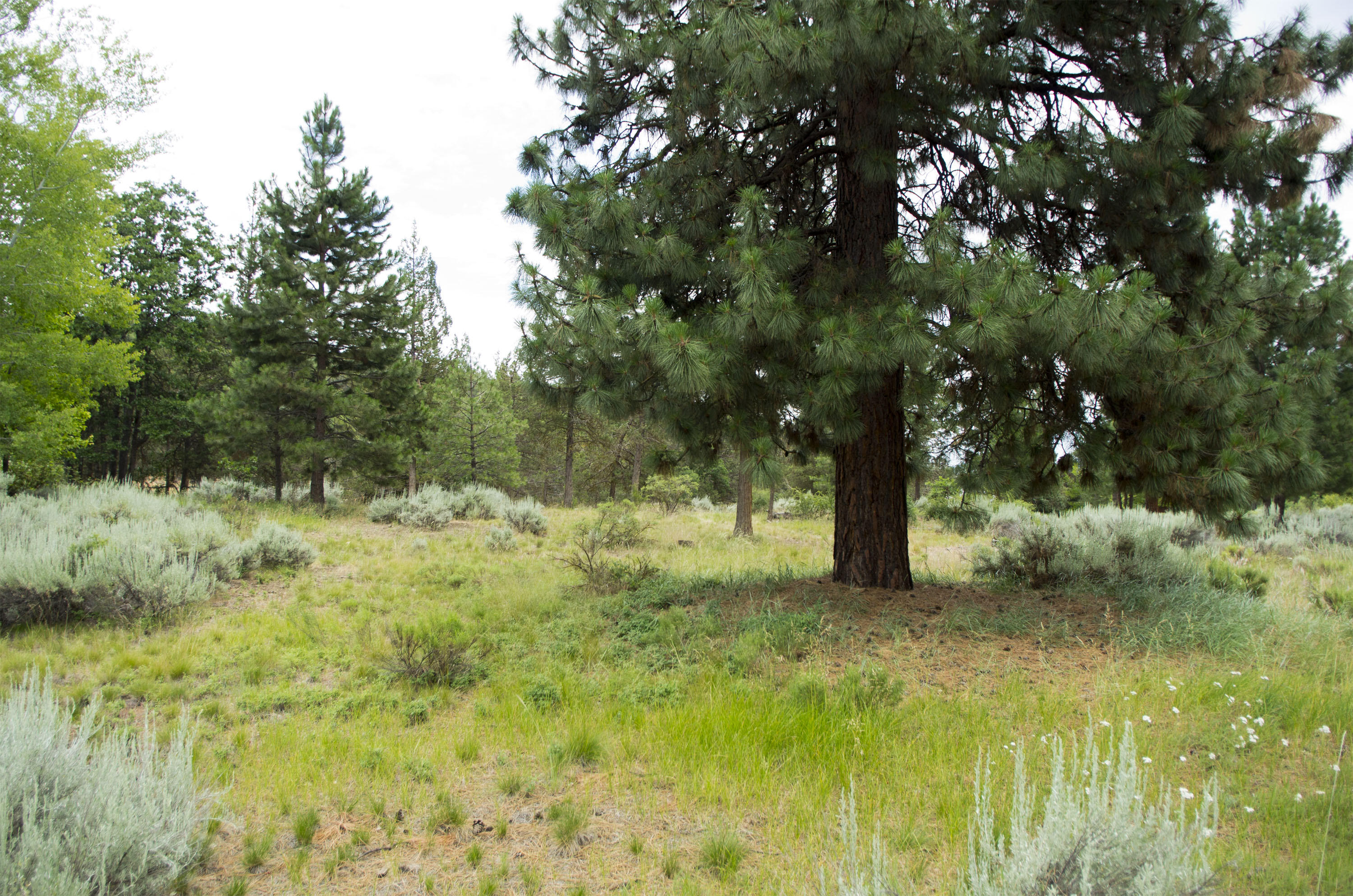 Running YResort - Land