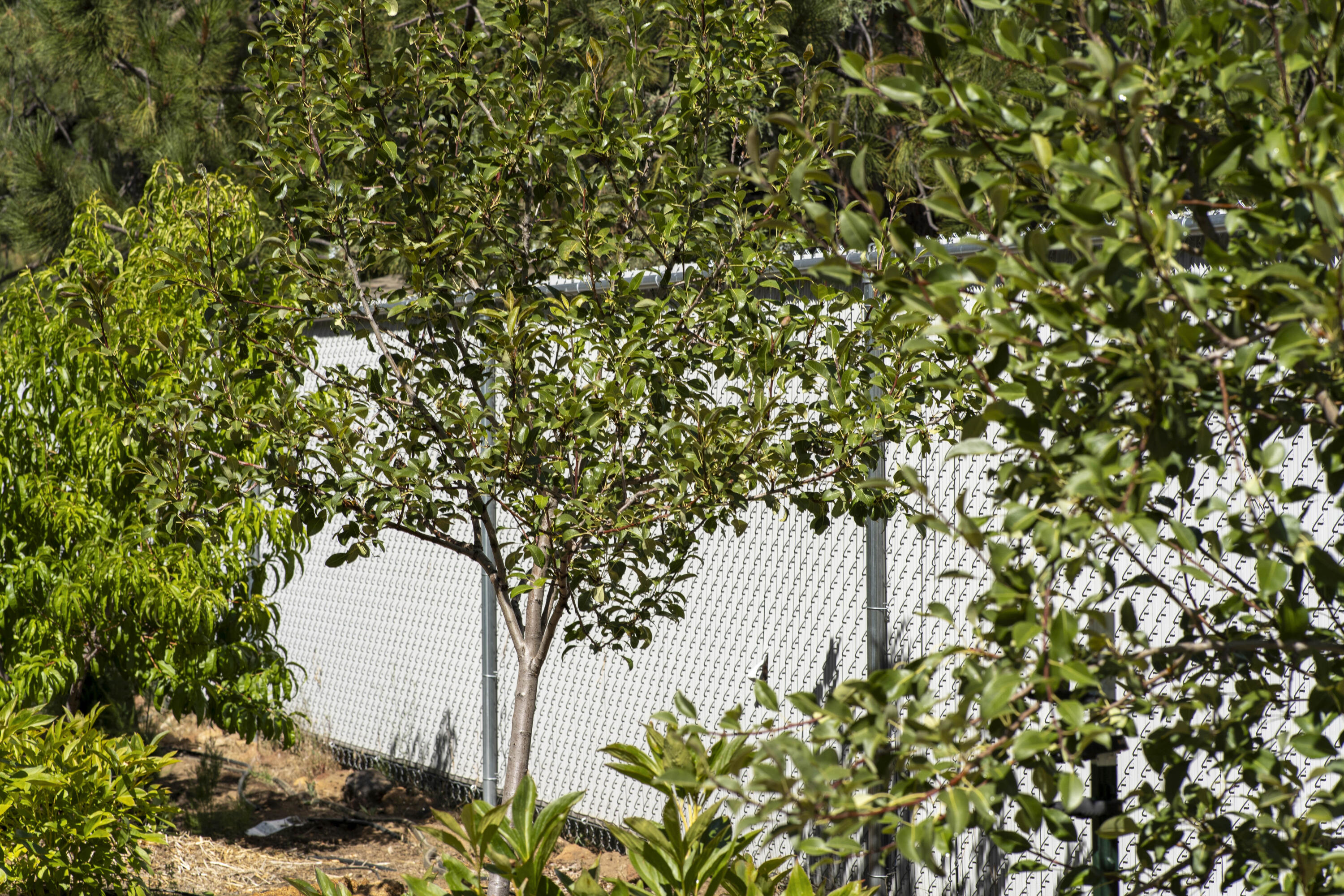 Deschutes RiverWoods - Residential