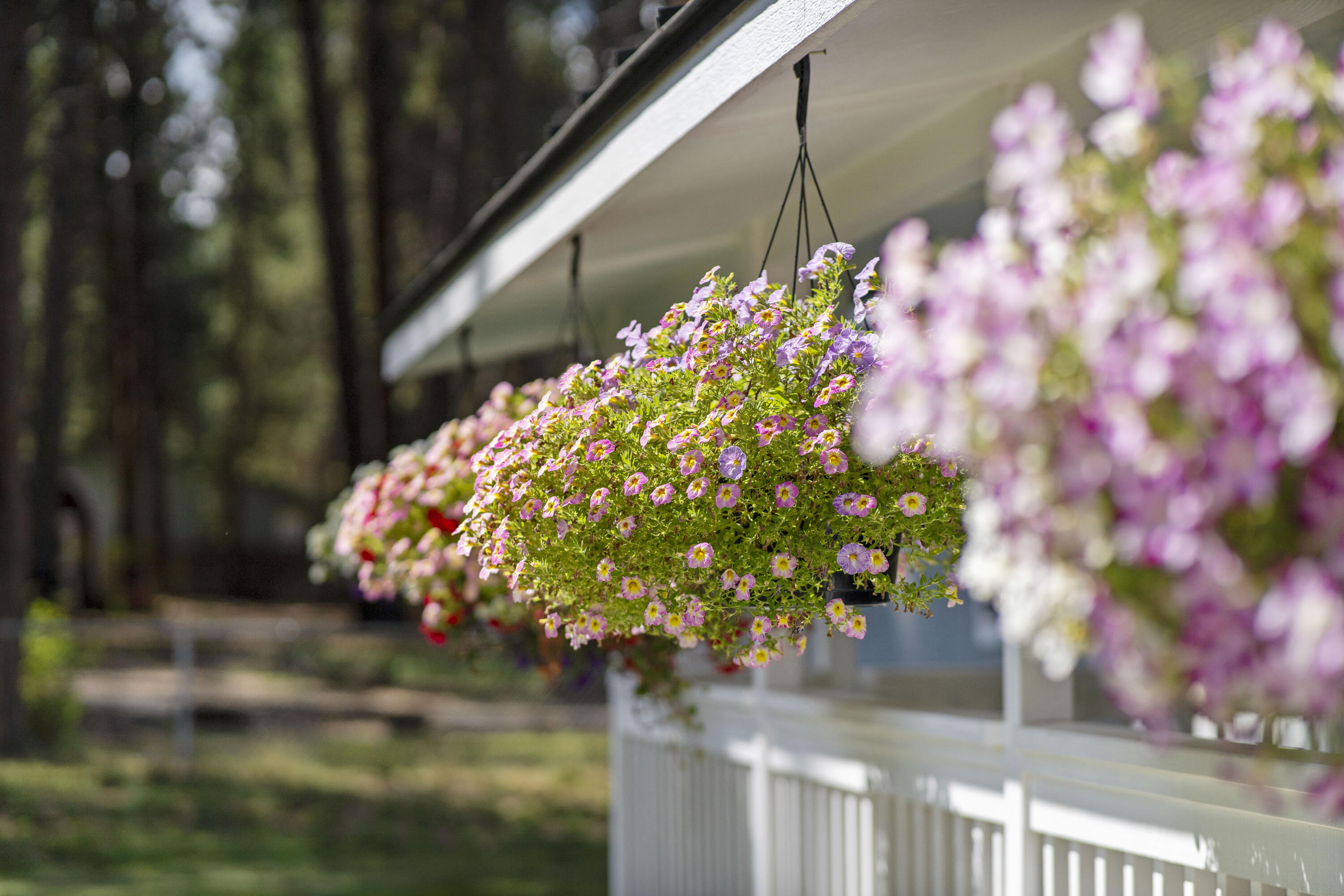 Deschutes RiverWoods - Residential