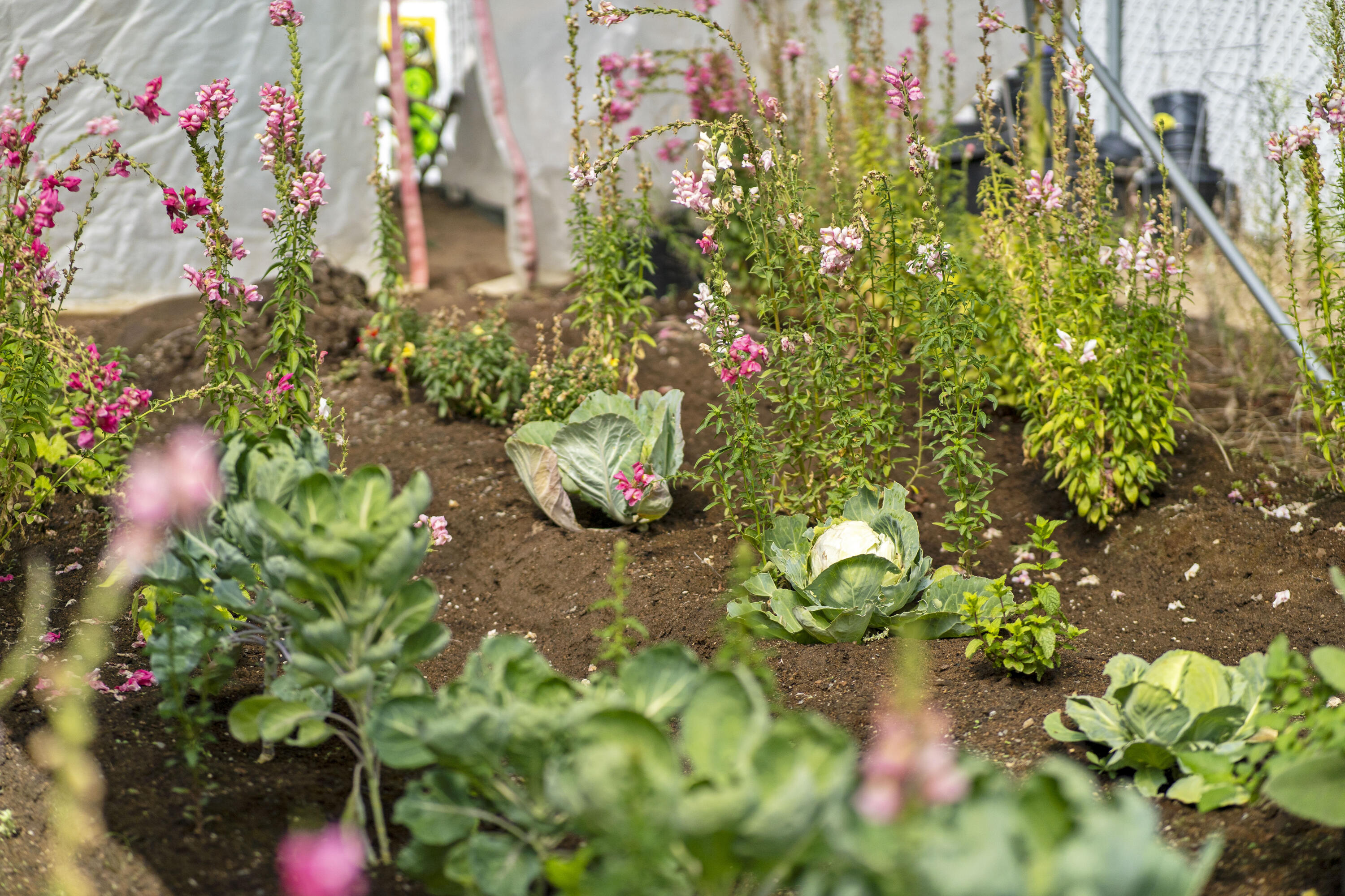 Deschutes RiverWoods - Residential