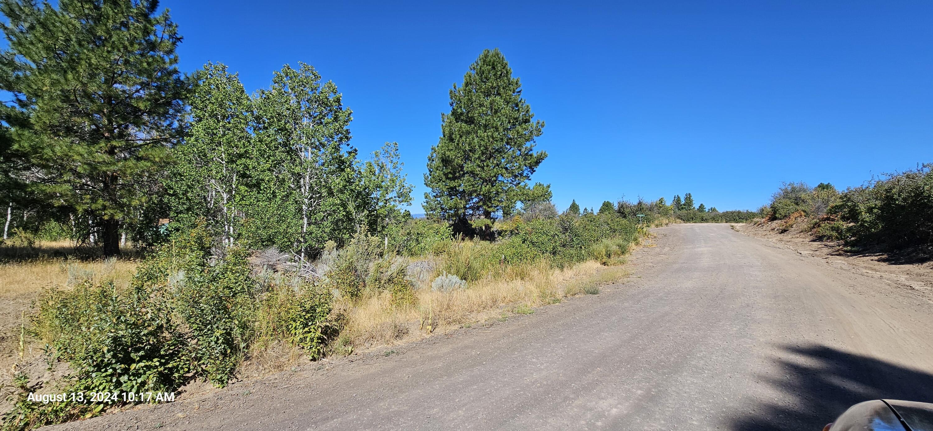 Oregon Shores - Land