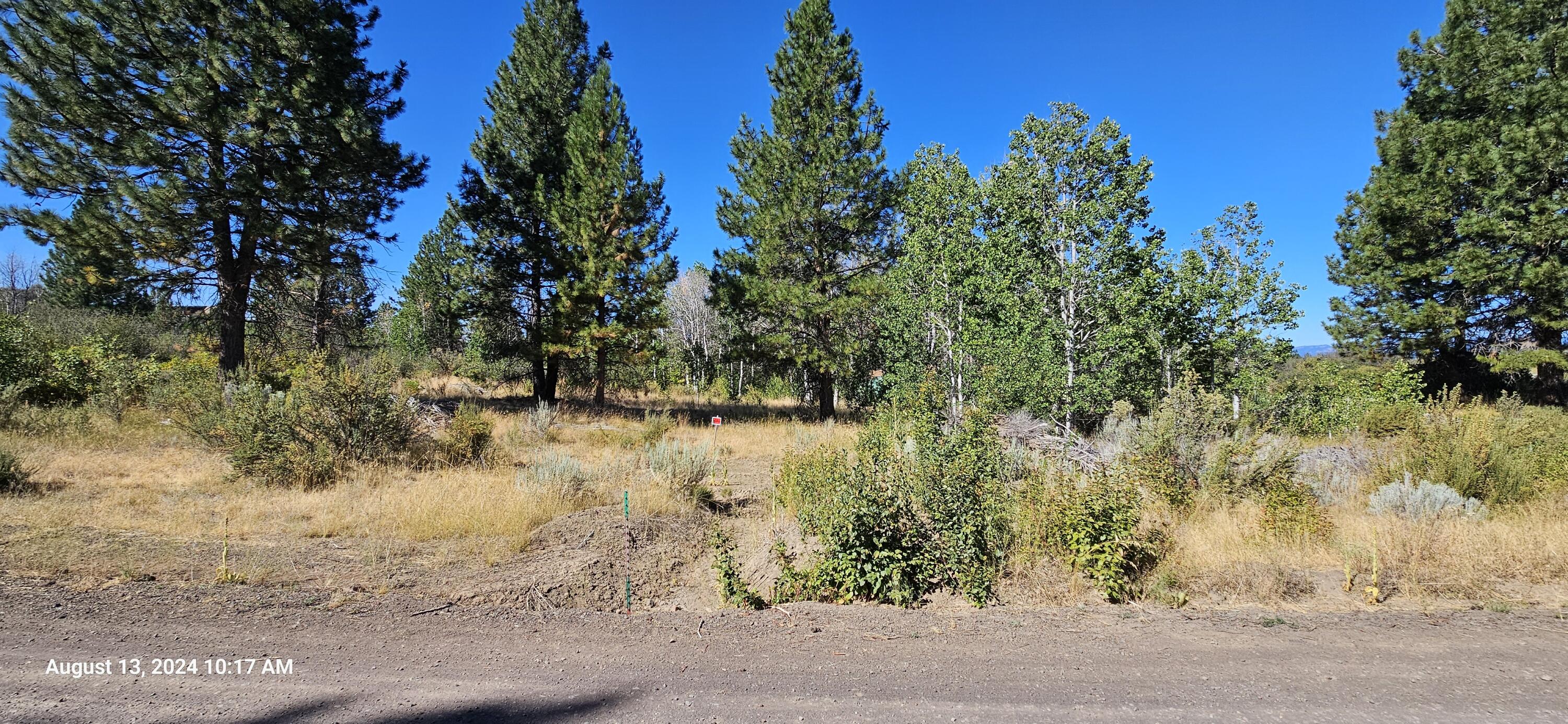 Oregon Shores - Land