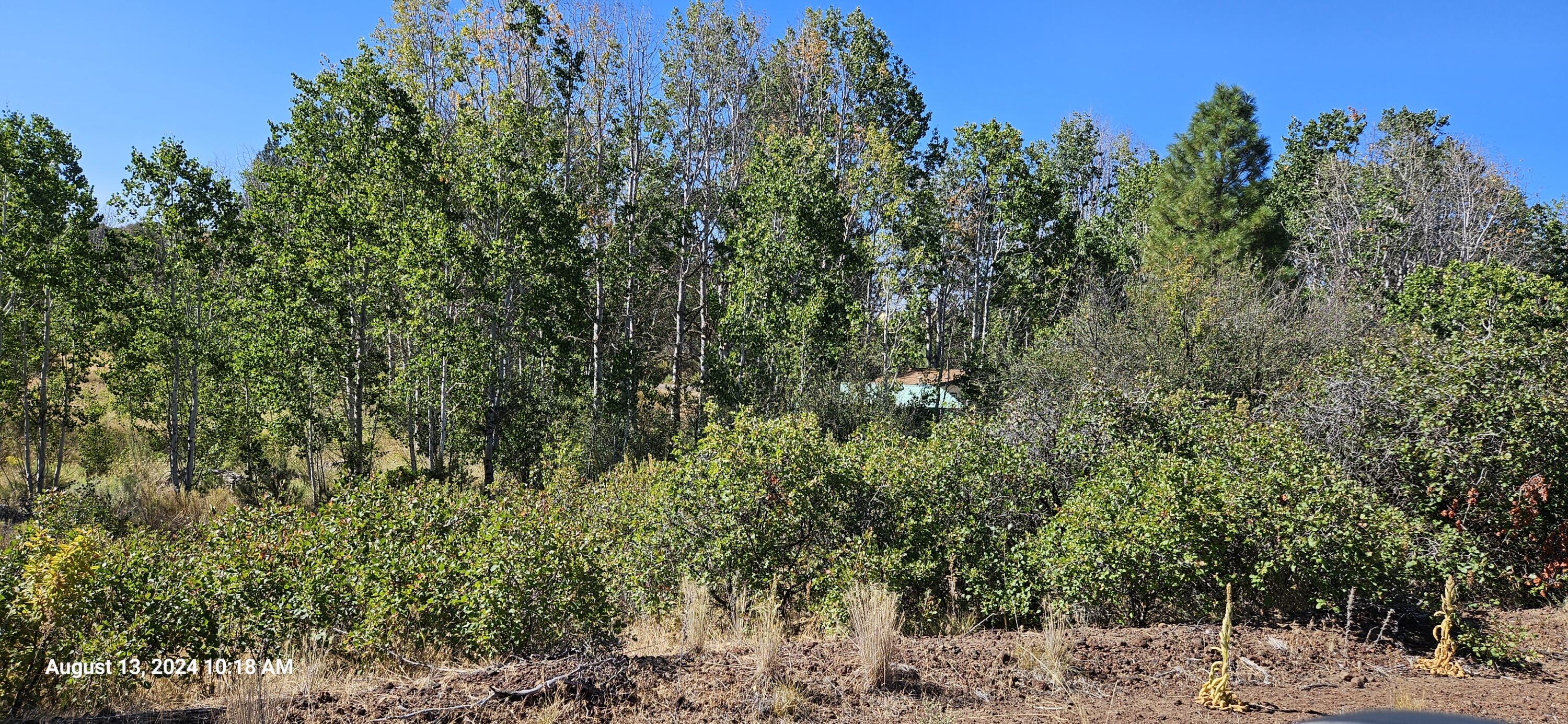 Oregon Shores - Land