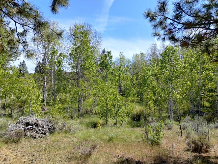 1.08-acre lot in Oregon Shores. Beautiful Aspen trees & some large pines. Per the Co. Planning Dep., for a stick-built house or MFG home with approved septic test on file. Yearly HOA fee of $500 includes Water from the Community Well, which is already in place on the property, Road Maintenance, and Snow removal. HOA fees grant access to OS1 private Marina on Agency Lake, which includes RV Hookups & Picnic Area with restrooms and a boat launch. This property could be the perfect location for your new home, summer retreat, or future investment. This OS-1 property is picturesque! With access to Agency Lake, Upper Klamath Lake right down the road, along with the Wood, Williamson, and Sprague Rivers, residents can enjoy stunning views and a wealth of recreational opportunities, such as fishing, boating, and hiking in the surrounding natural beauty. Just 40 min. drive to Crater Lake. The gently rolling terrain, with the presence of tall pine and aspen trees, provides a tranquil setting.