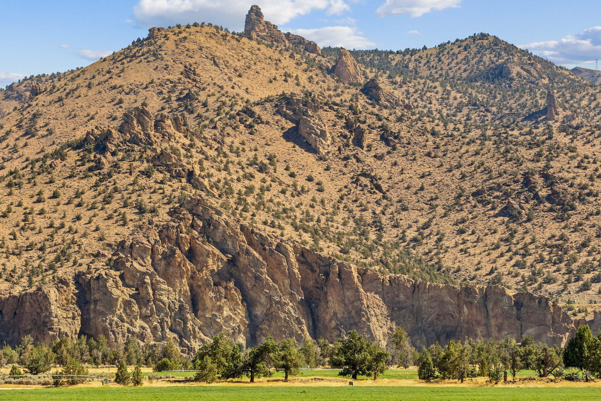 711 NE Good Pasture Loop LH  43