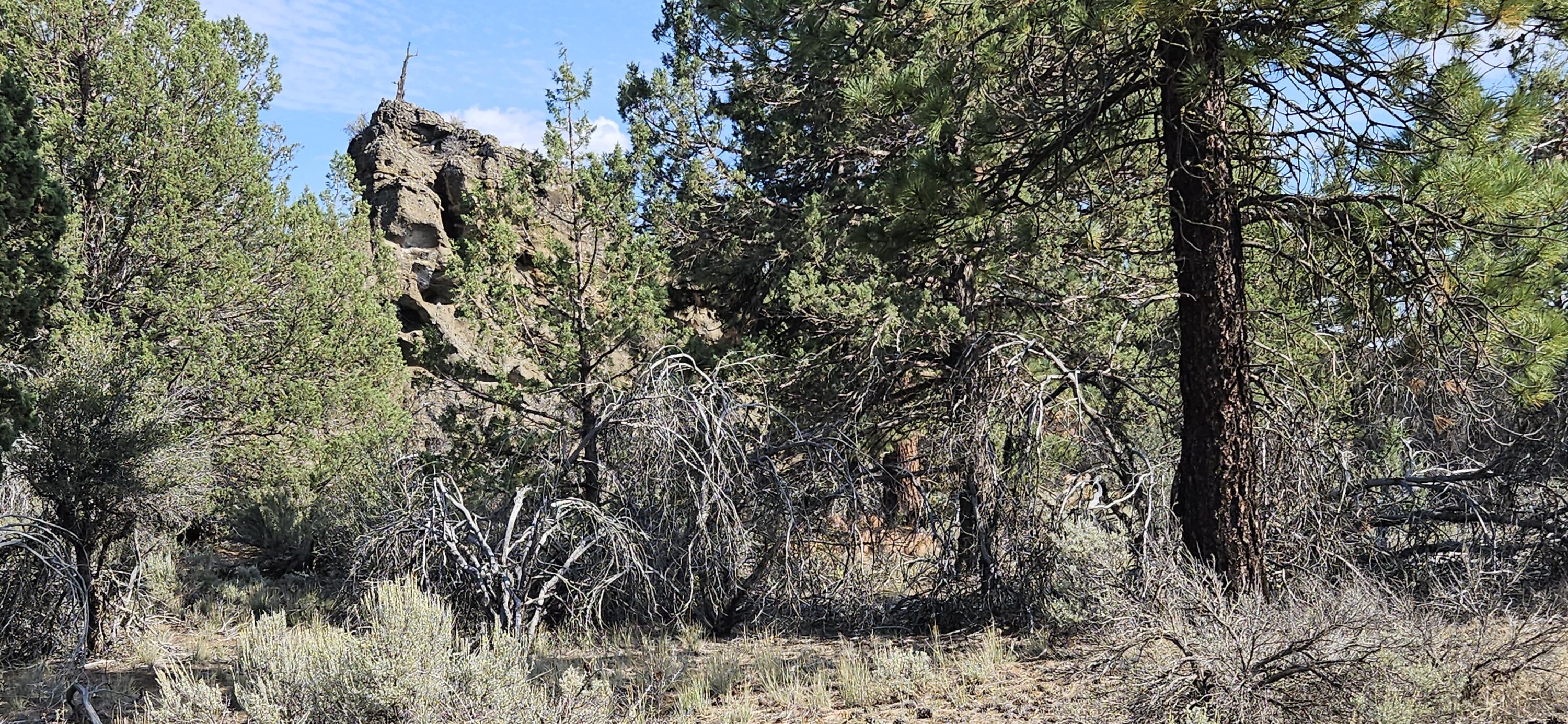 Klamath Forest Estates - Land