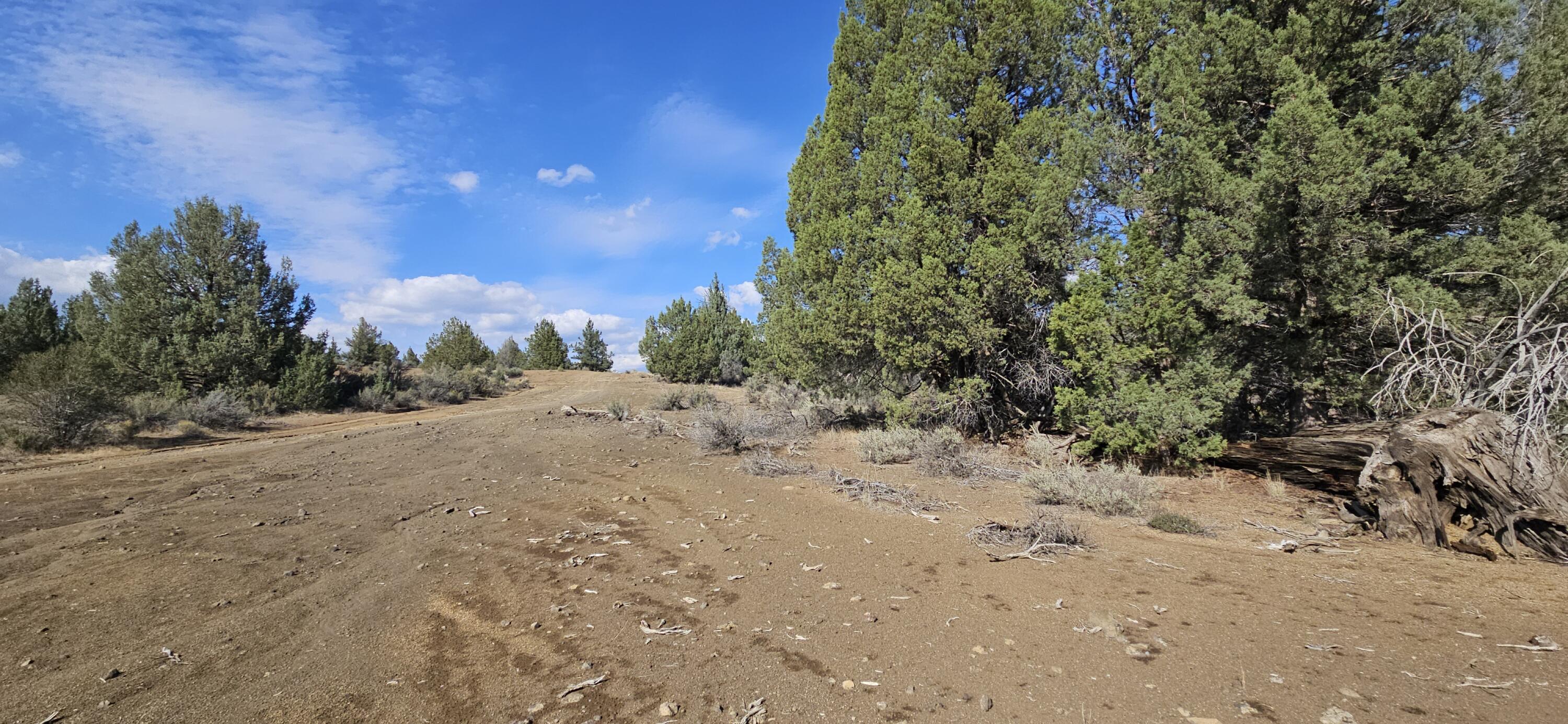 Klamath Forest Estates - Land