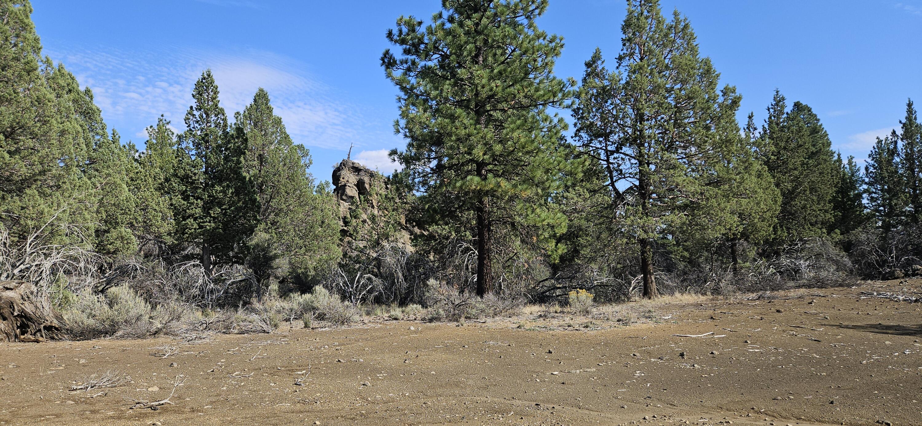 Klamath Forest Estates - Land