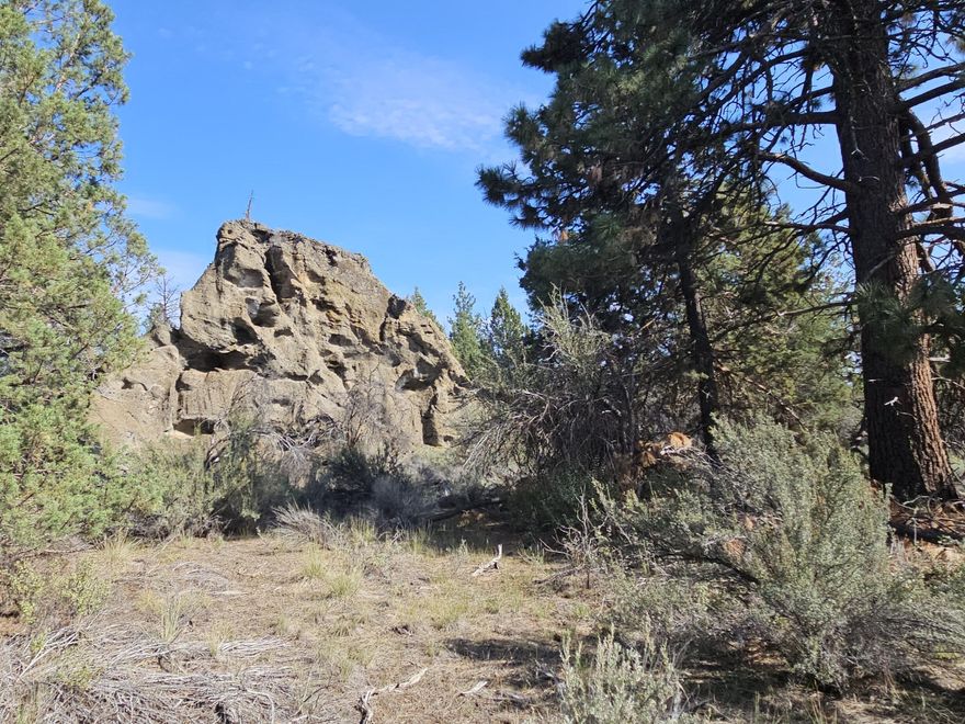 Over five acres of mostly level land featuring dramatic rock formations and
a variety of tall trees. This unique property offers natural beauty and
privacy, making it an ideal setting for a solar-powered home or manufactured
home.