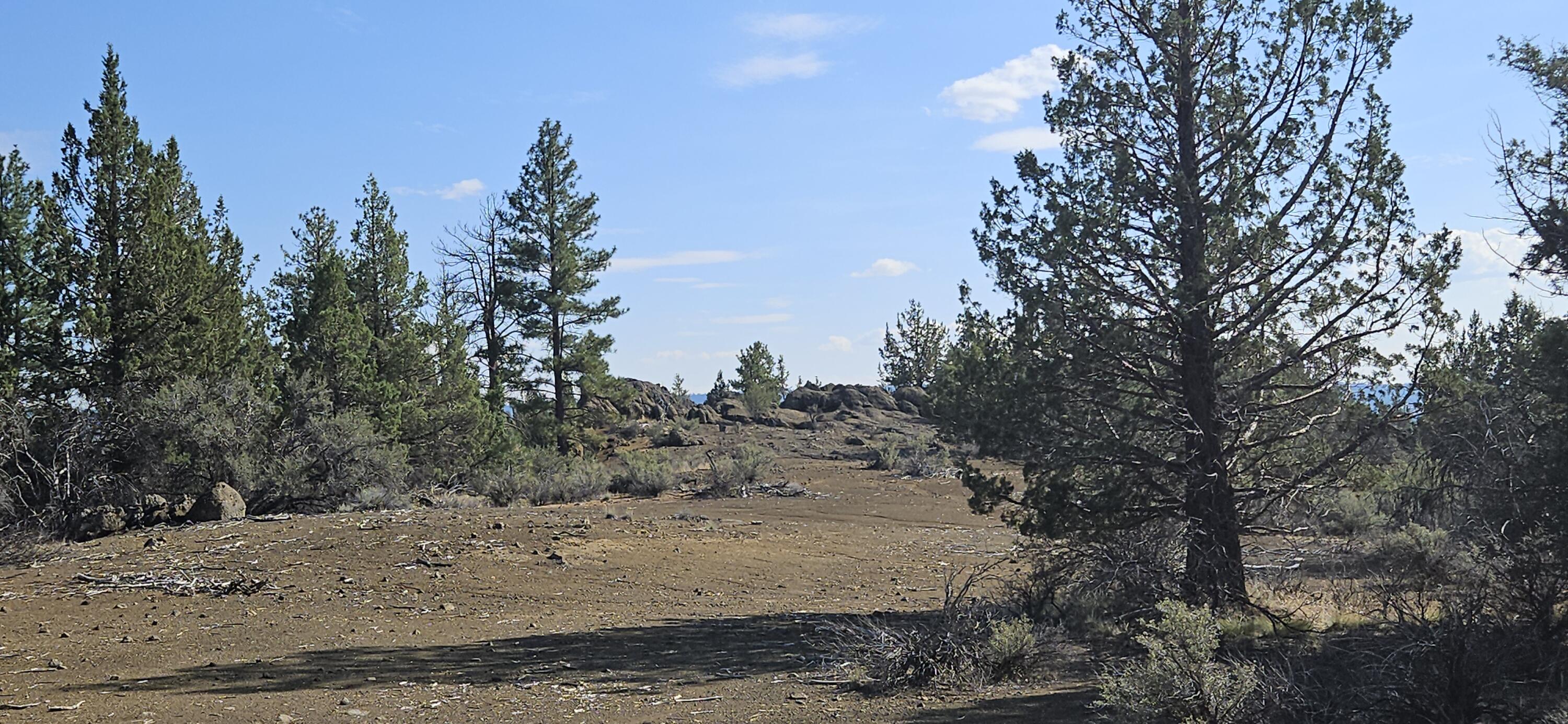 Klamath Forest Estates - Land