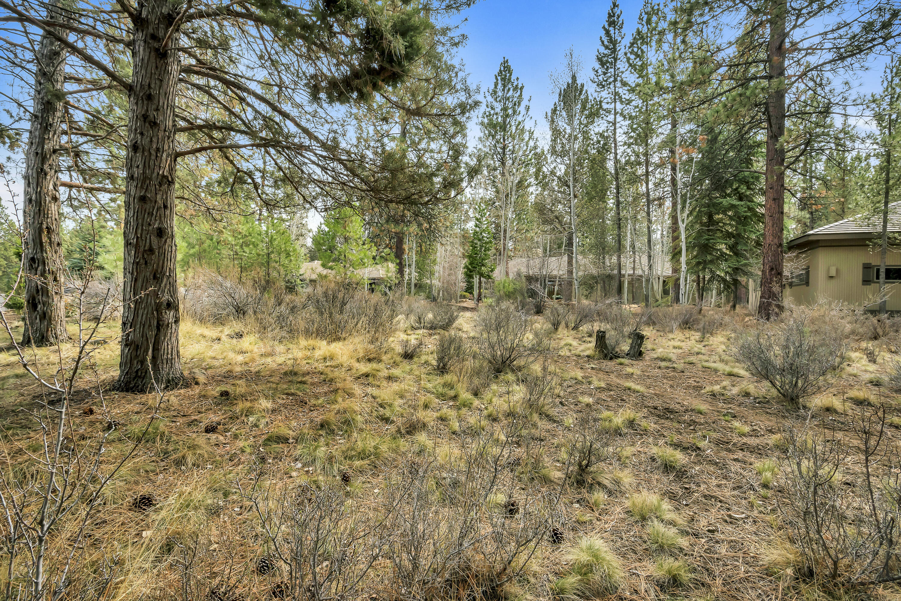 19374 Rim Lake Court