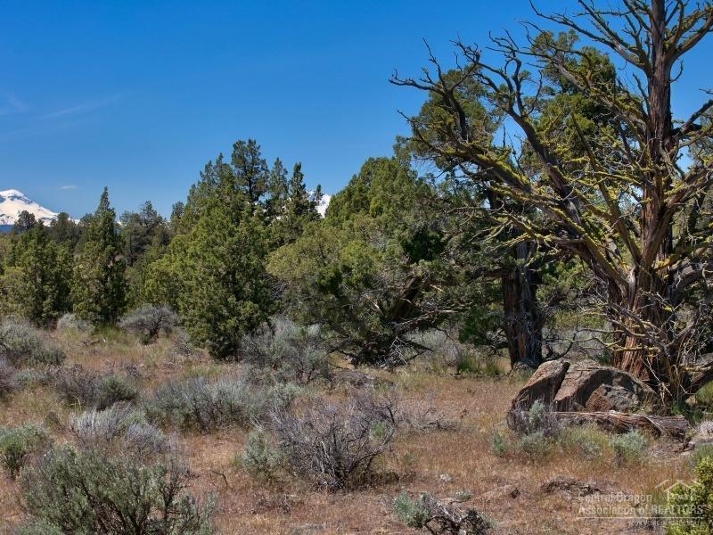 Deschutes River Ranc - Land